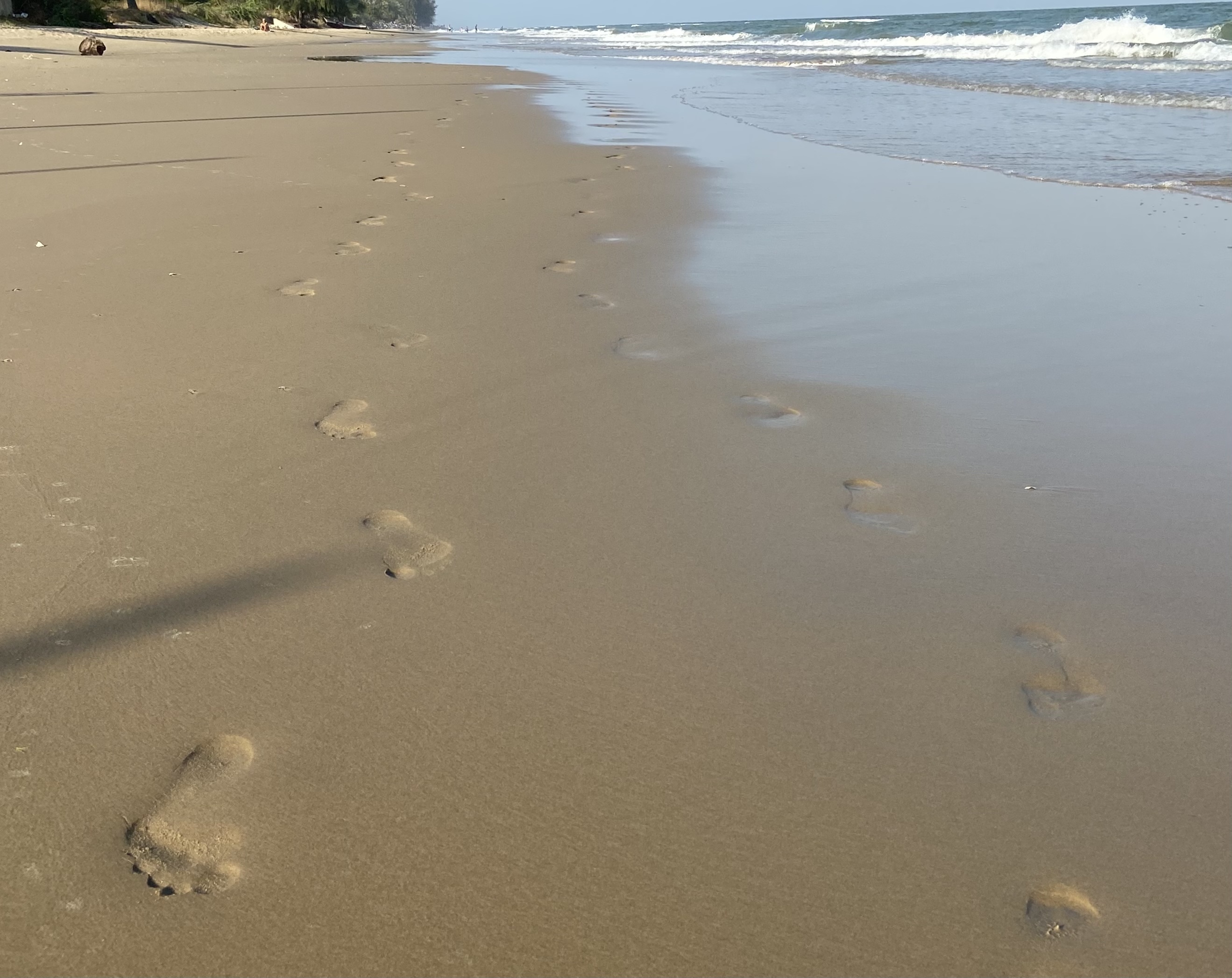 Feet of Ria OnlyFans header