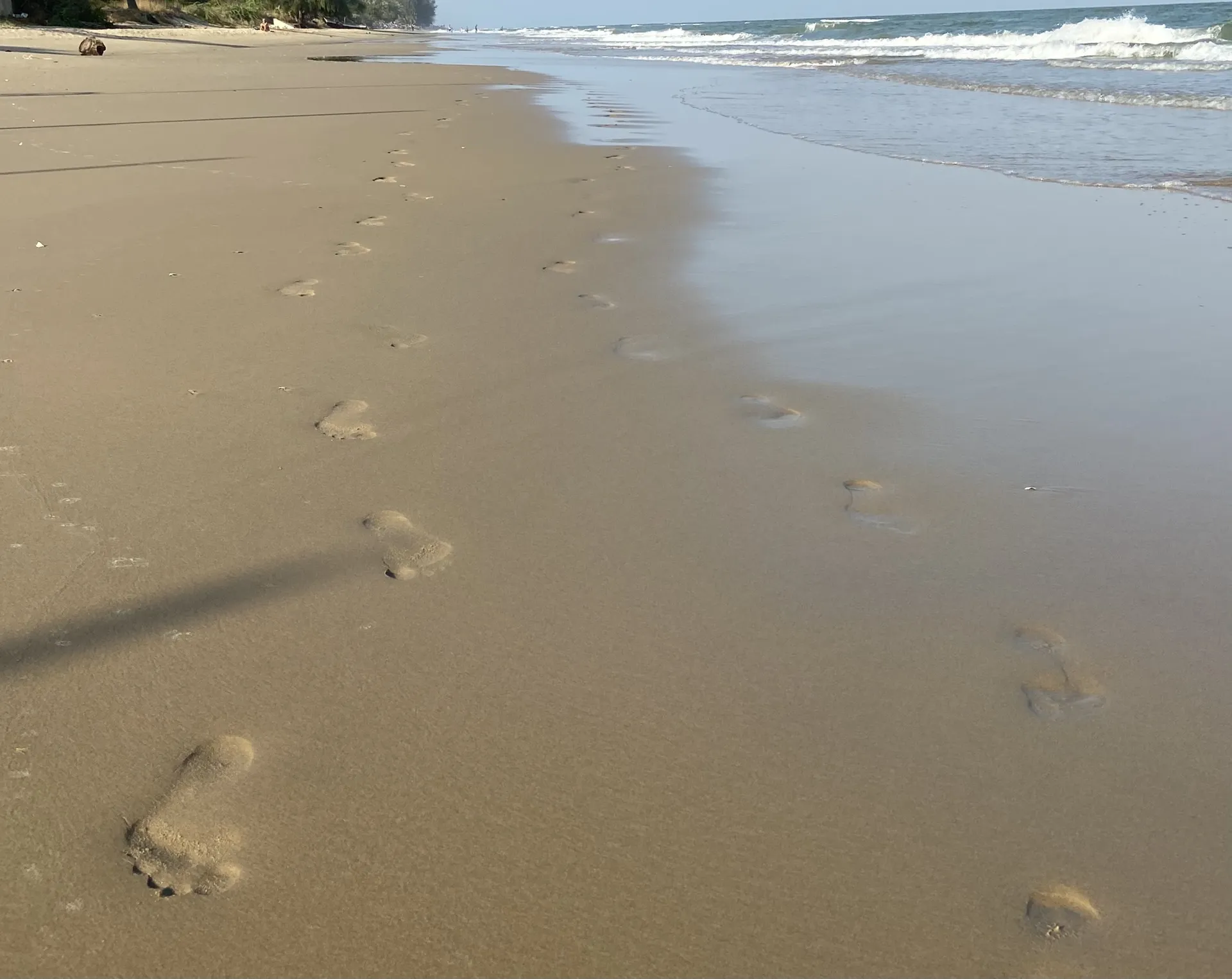 Feet of Ria OnlyFans header