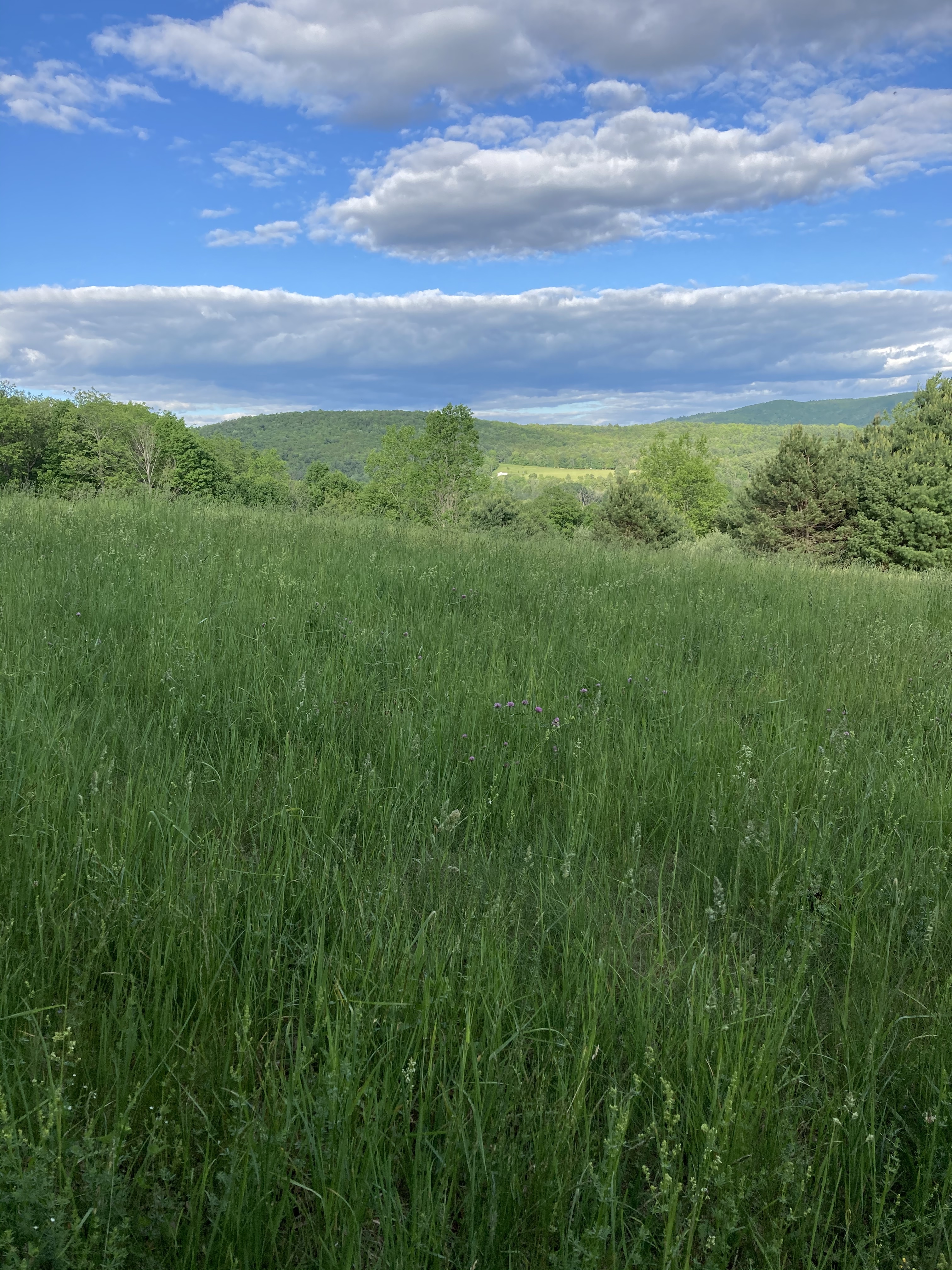 Alice’s hiking feet OnlyFans header