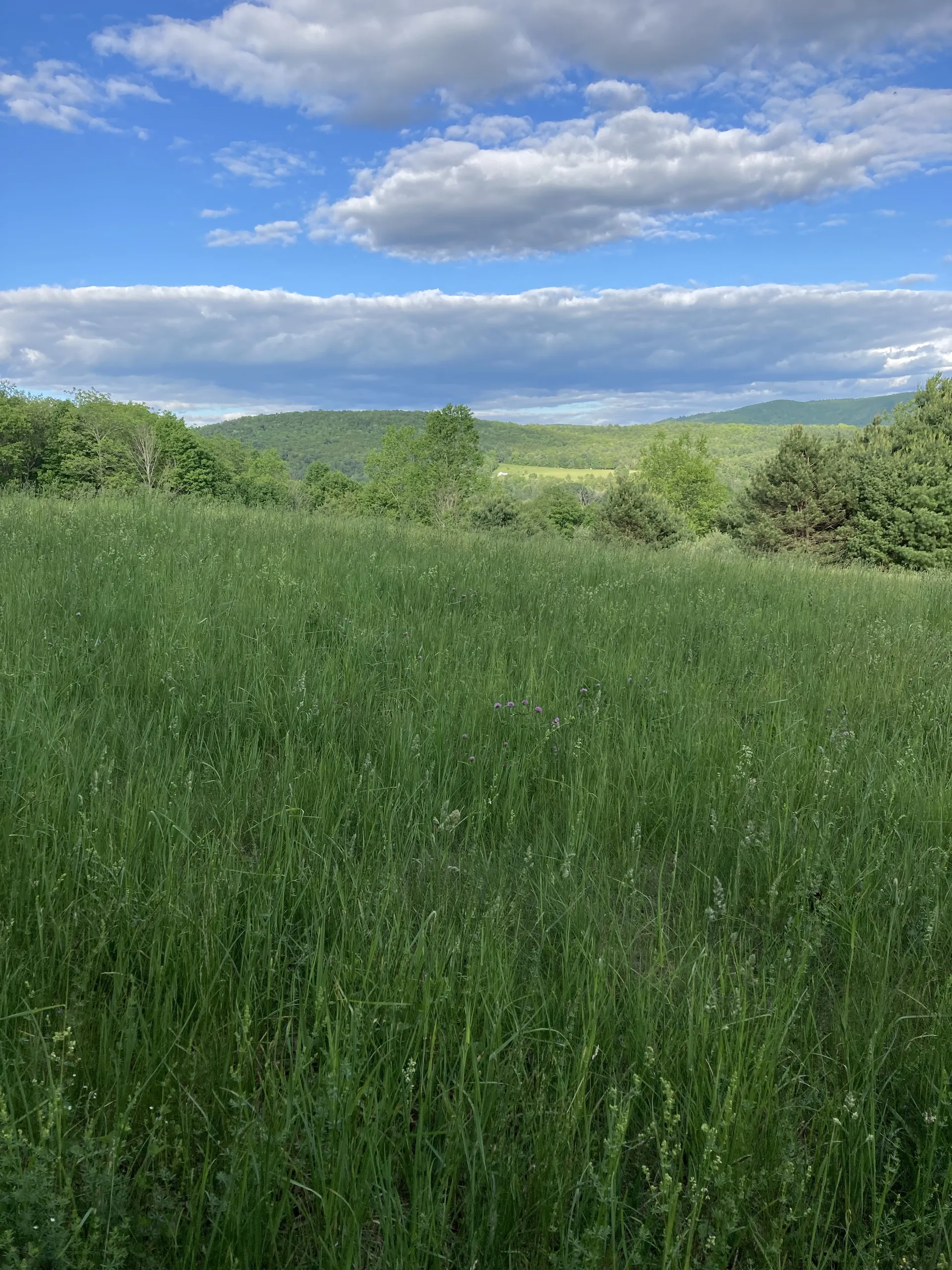 Alice’s hiking feet OnlyFans header