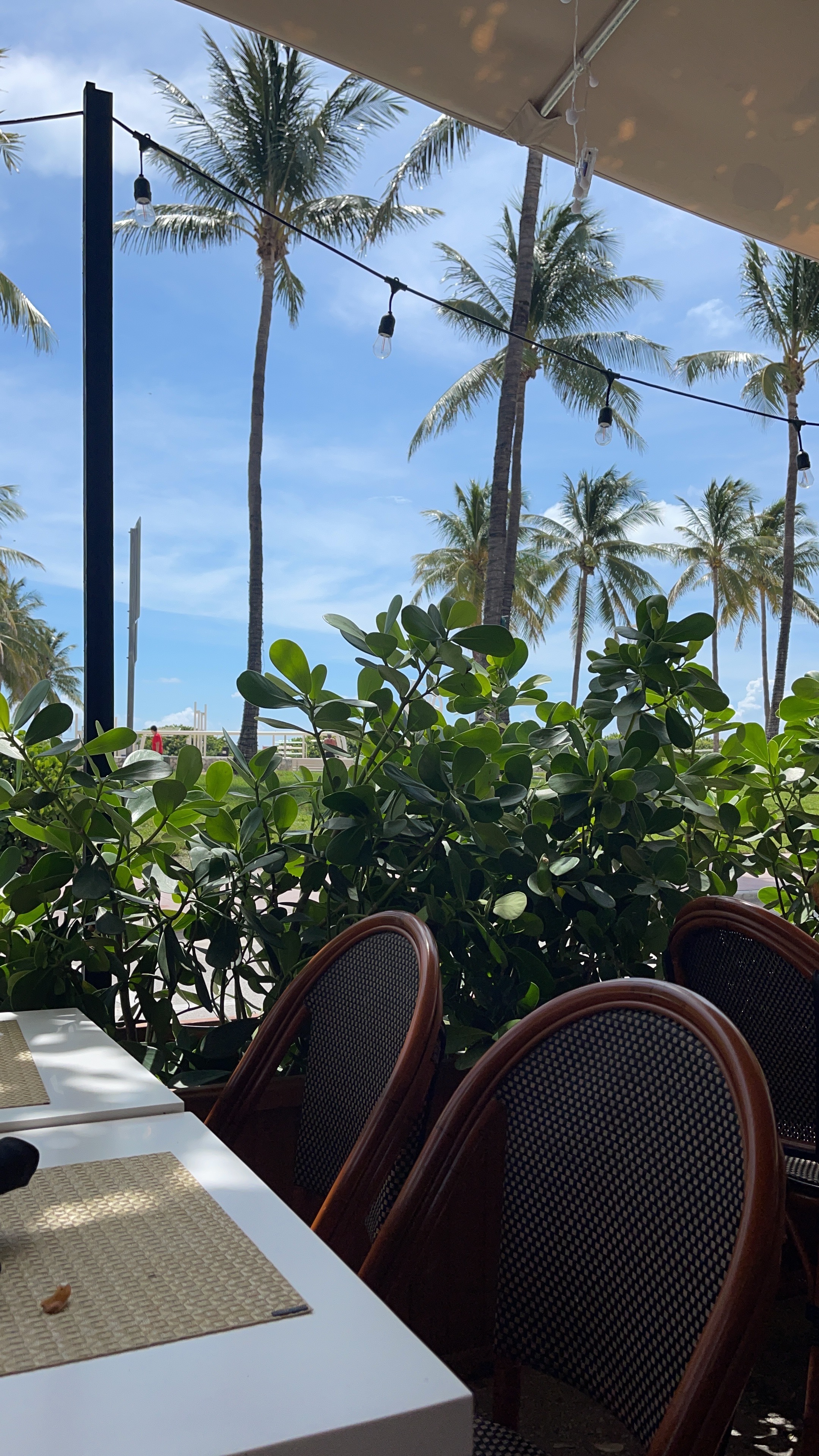 Daisy OnlyFans header