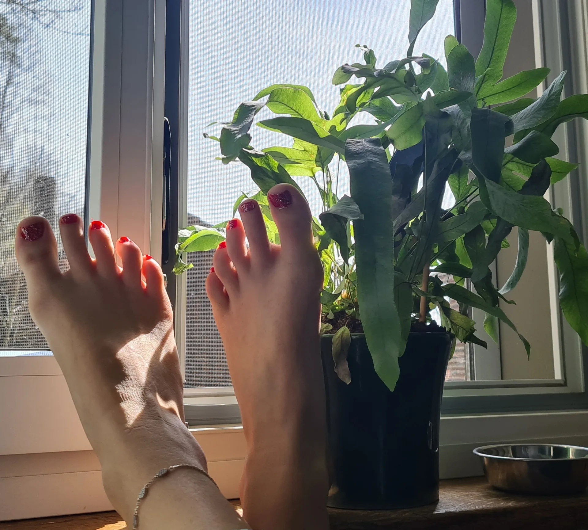 Esthersfeet OnlyFans header