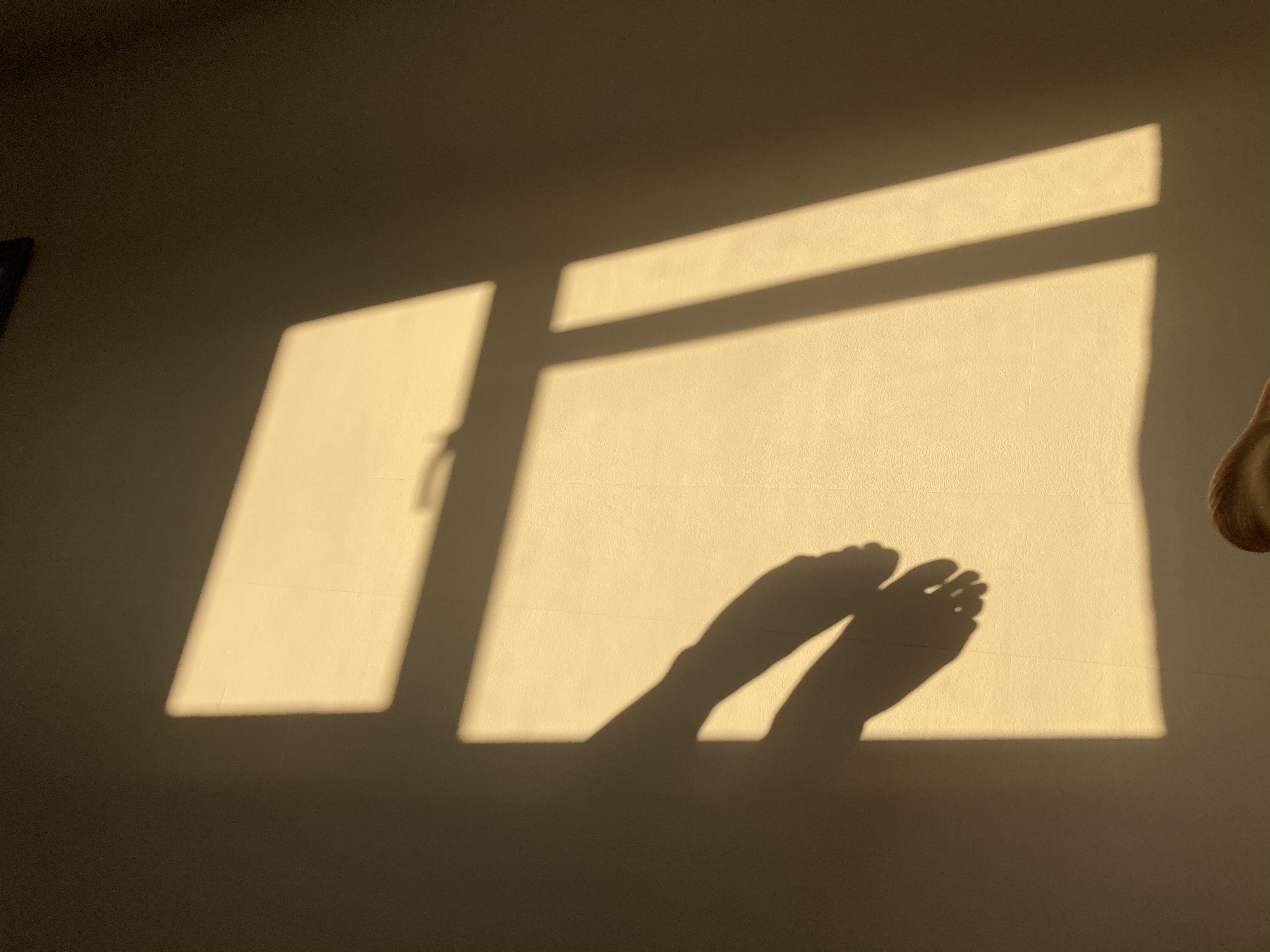 Summer OnlyFans header