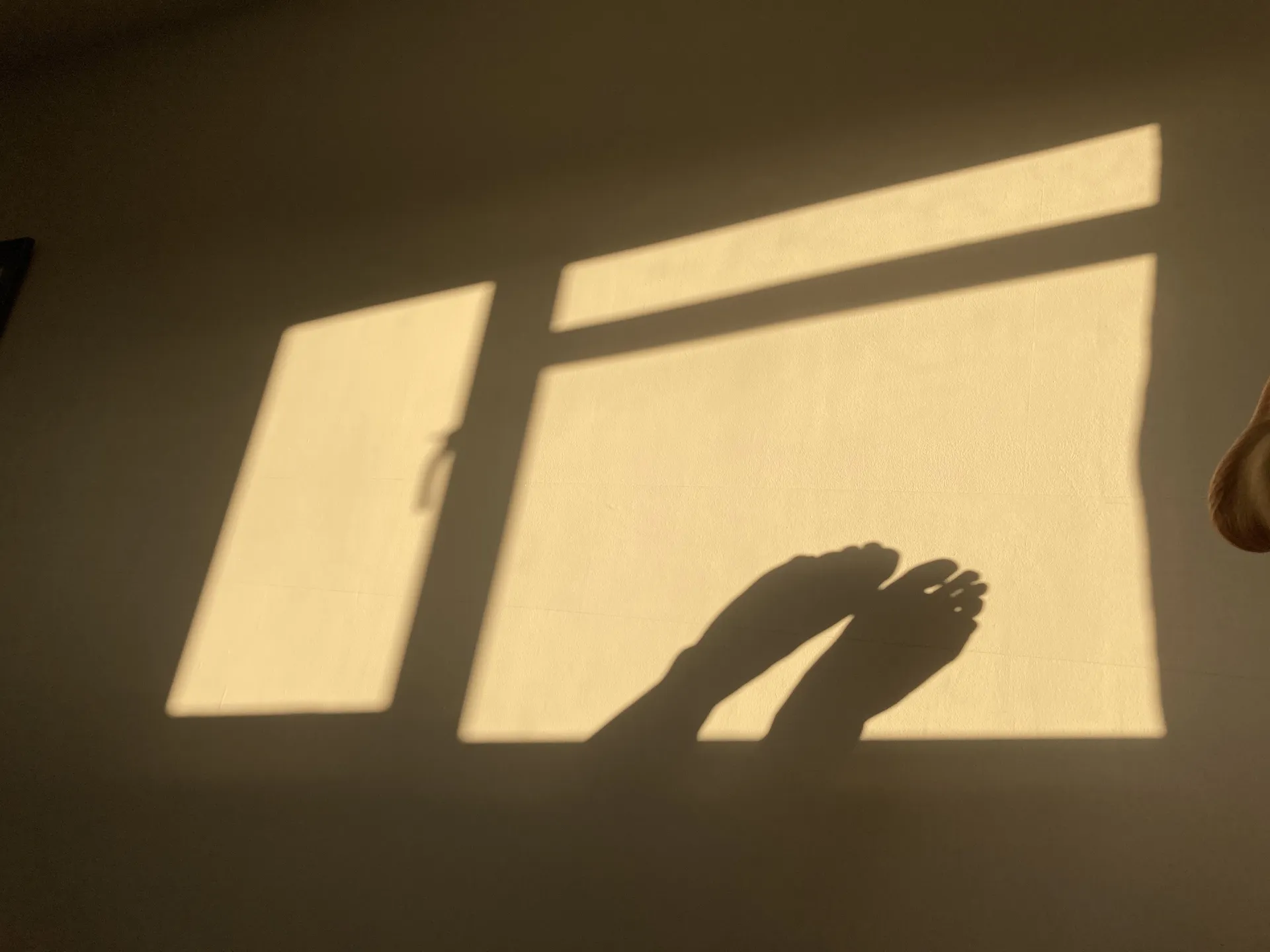 Summer OnlyFans header