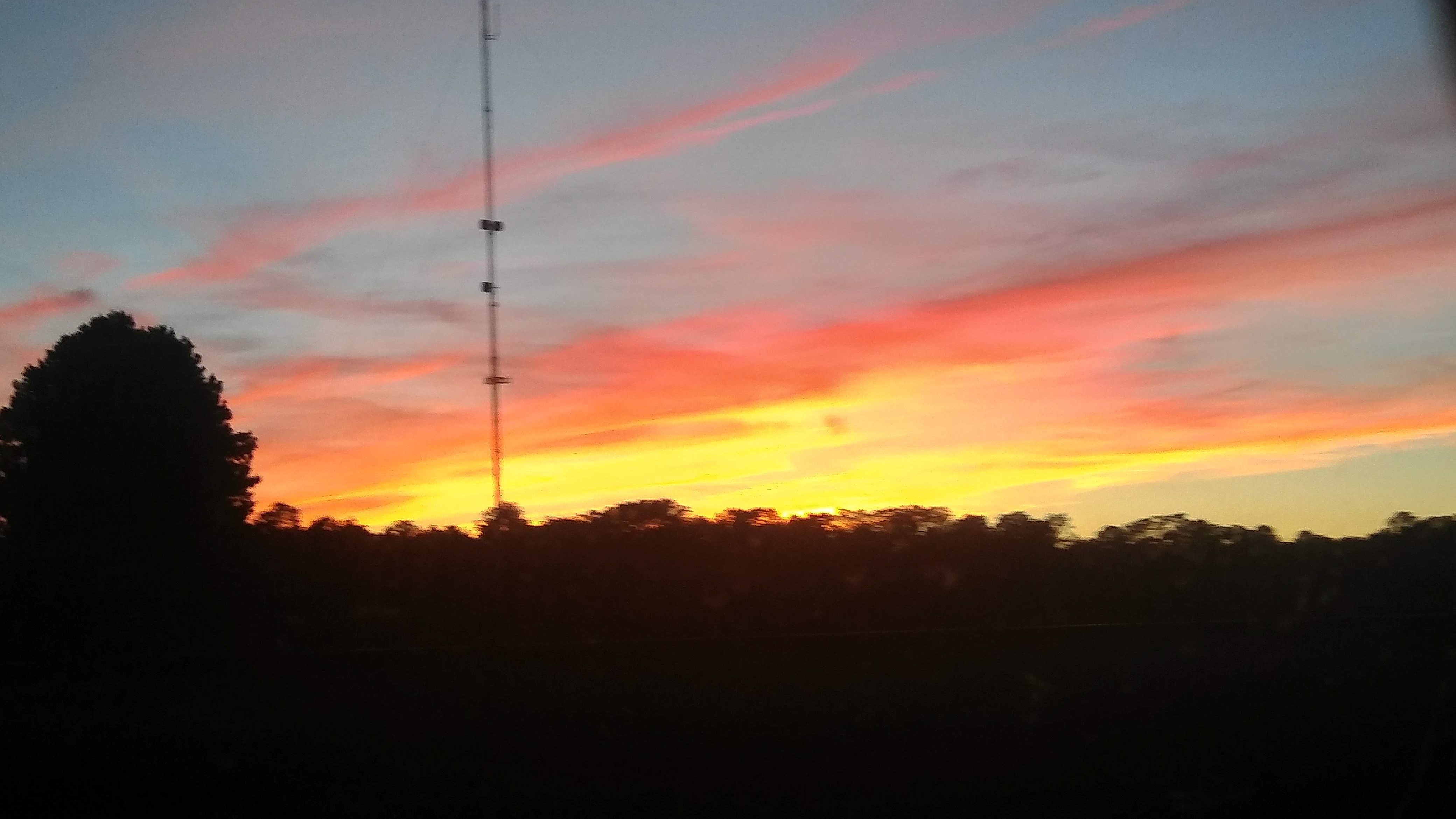 Feetpicsonly OnlyFans header