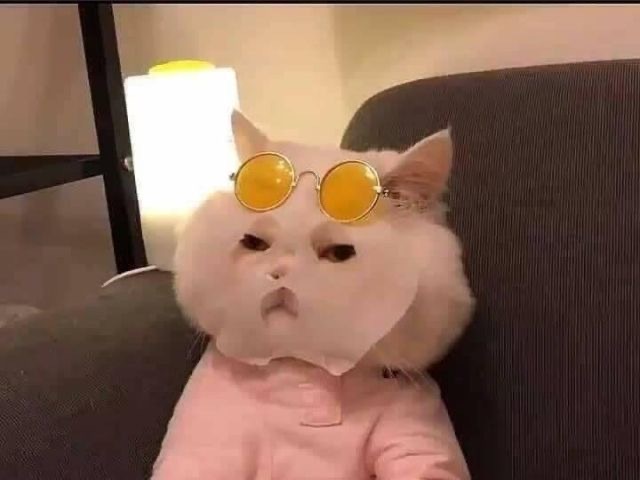 feet pics OnlyFans header