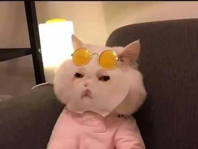 feet pics OnlyFans header