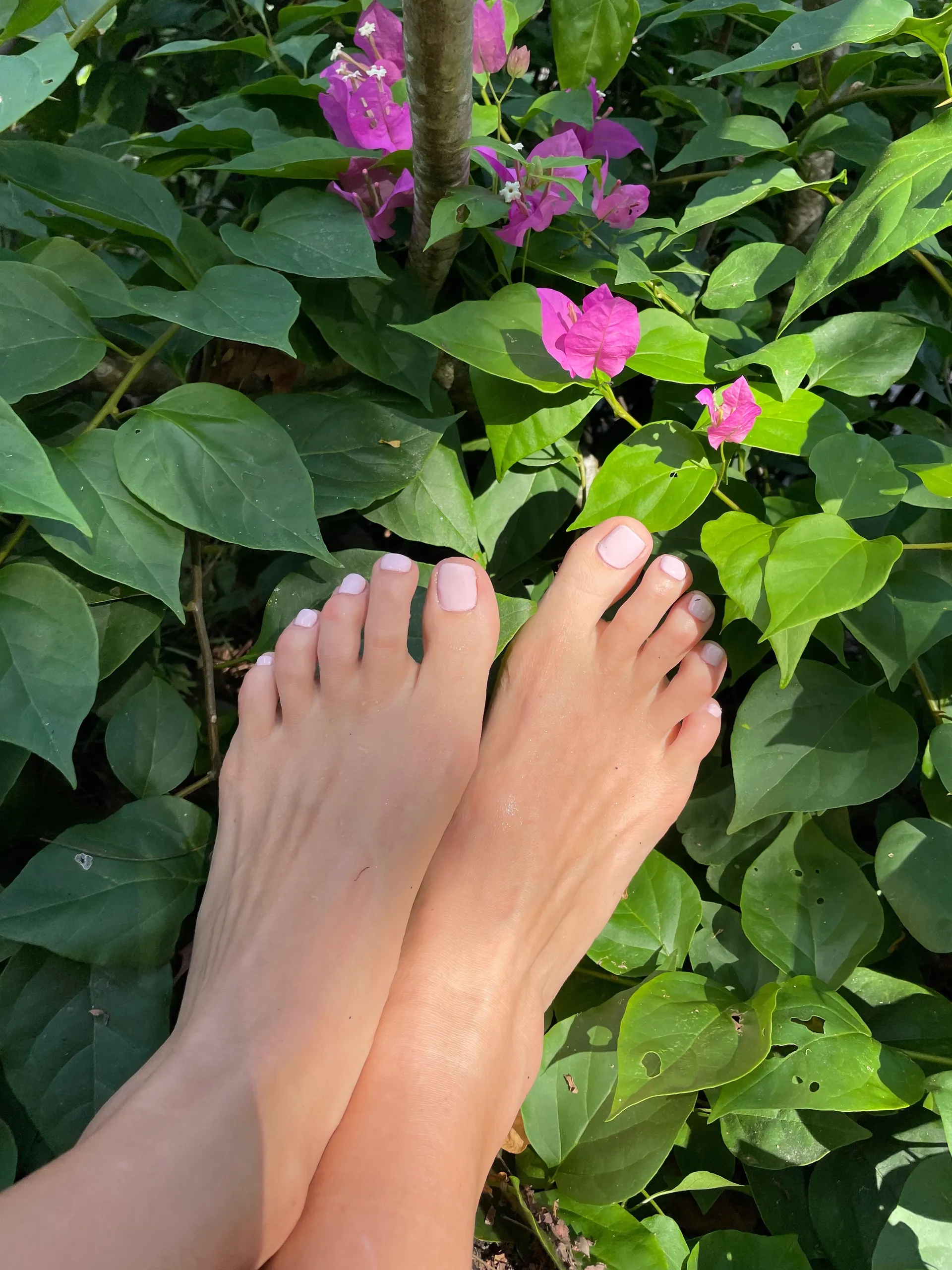 💘 Lydia ~ Feet Girl 💘 OnlyFans header