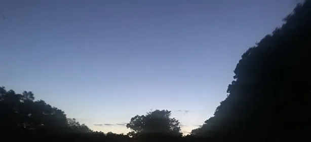 Feet Pic Provider OnlyFans header