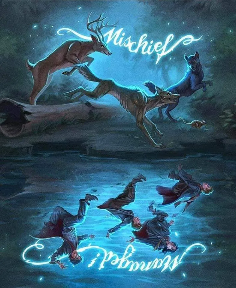 Emma Arvidsson OnlyFans header