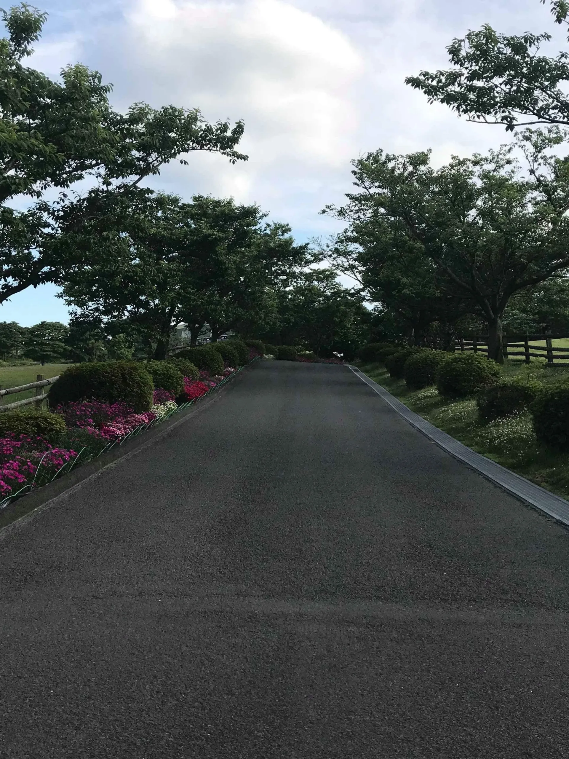 Feetrix OnlyFans header