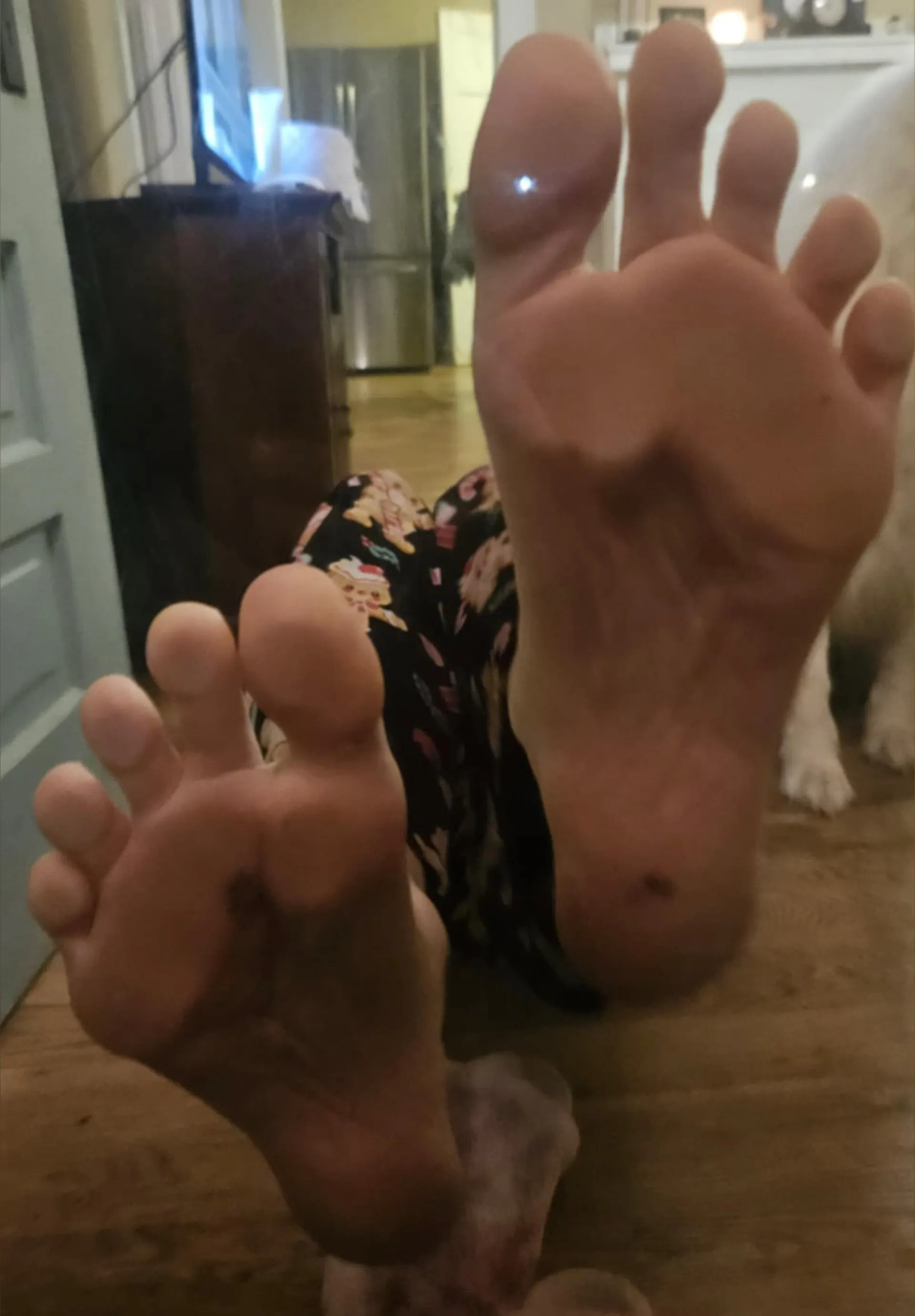 Jane the feet seller OnlyFans header
