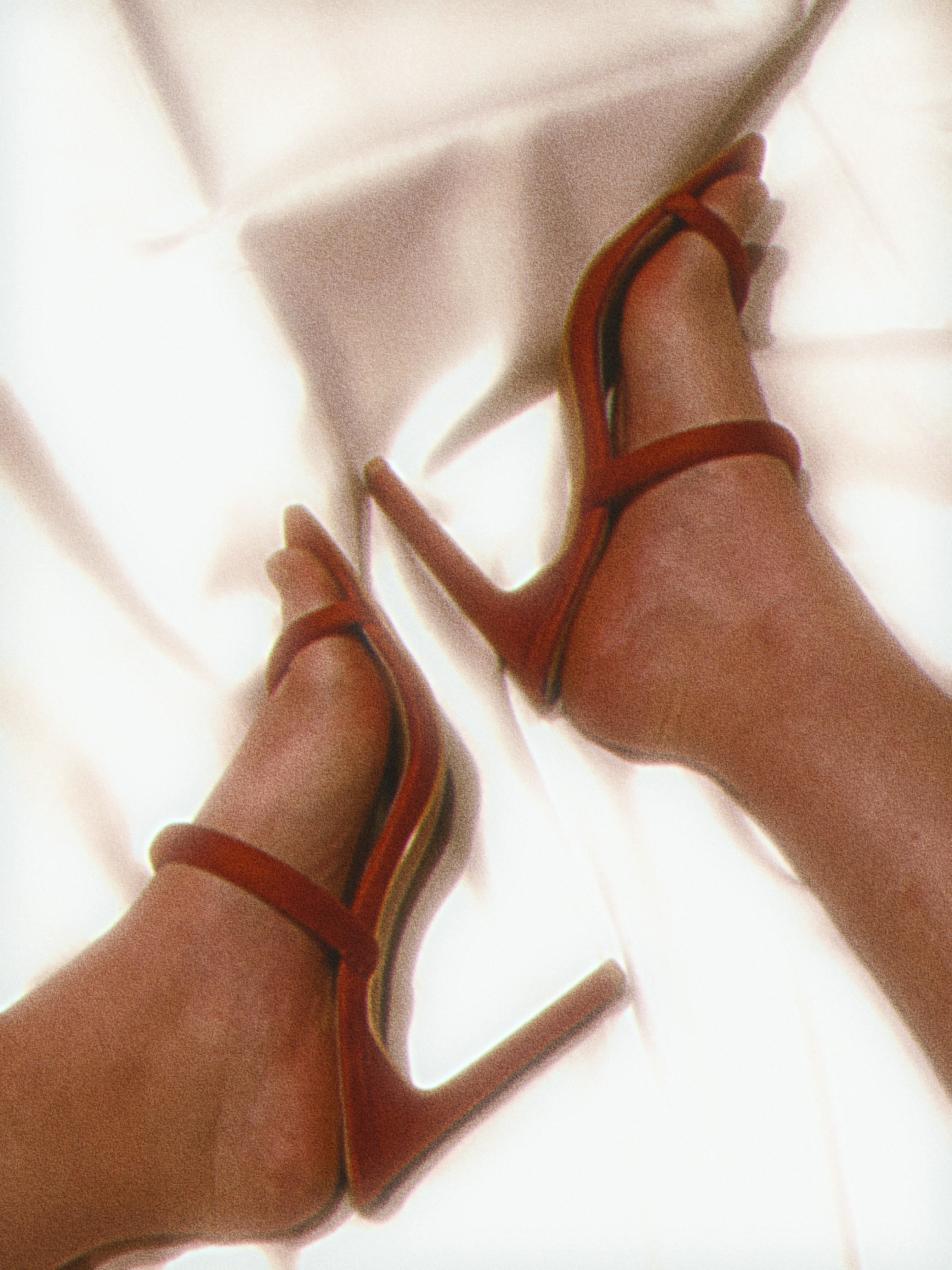 Cece Parkker OnlyFans header