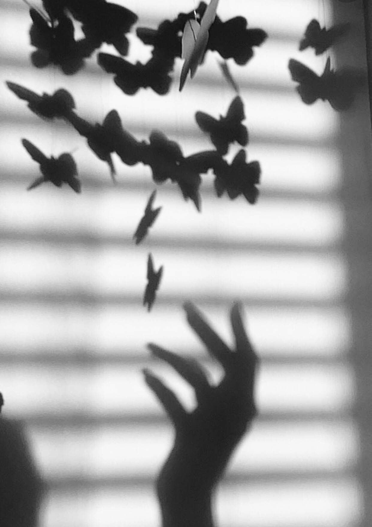 Bluebutterfly 🦋 OnlyFans header