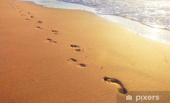 Feetsbydidi OnlyFans header