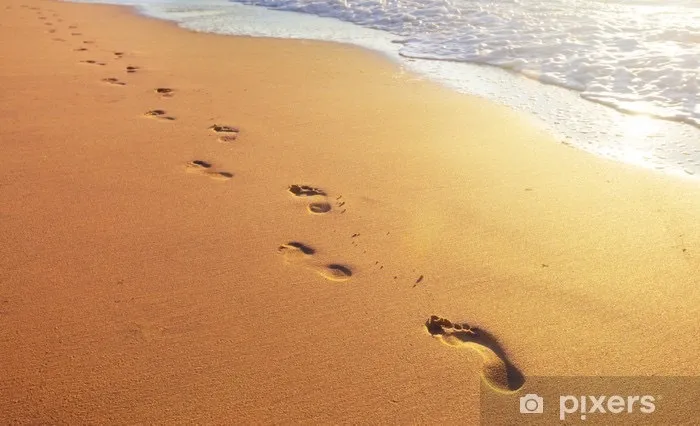 Feetsbydidi OnlyFans header