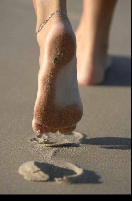 Coral 🦋 FEET 👣 OnlyFans