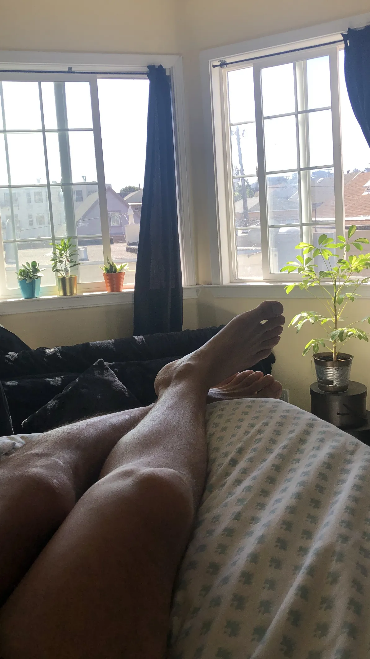 Stripped OnlyFans header