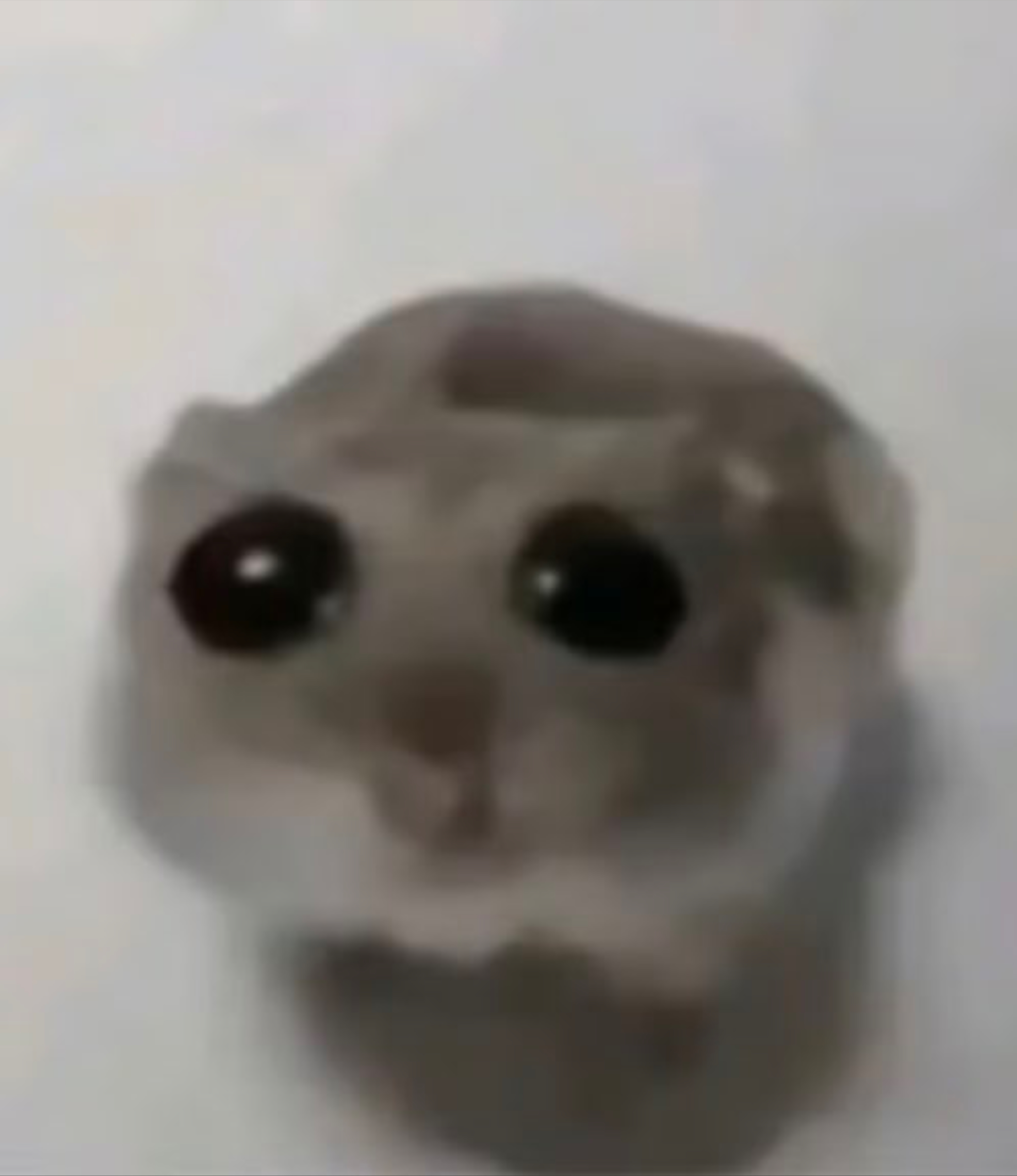 Your Secret Girl OnlyFans