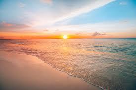 What_The_Feet💋 OnlyFans header