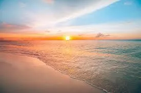 What_The_Feet💋 OnlyFans header