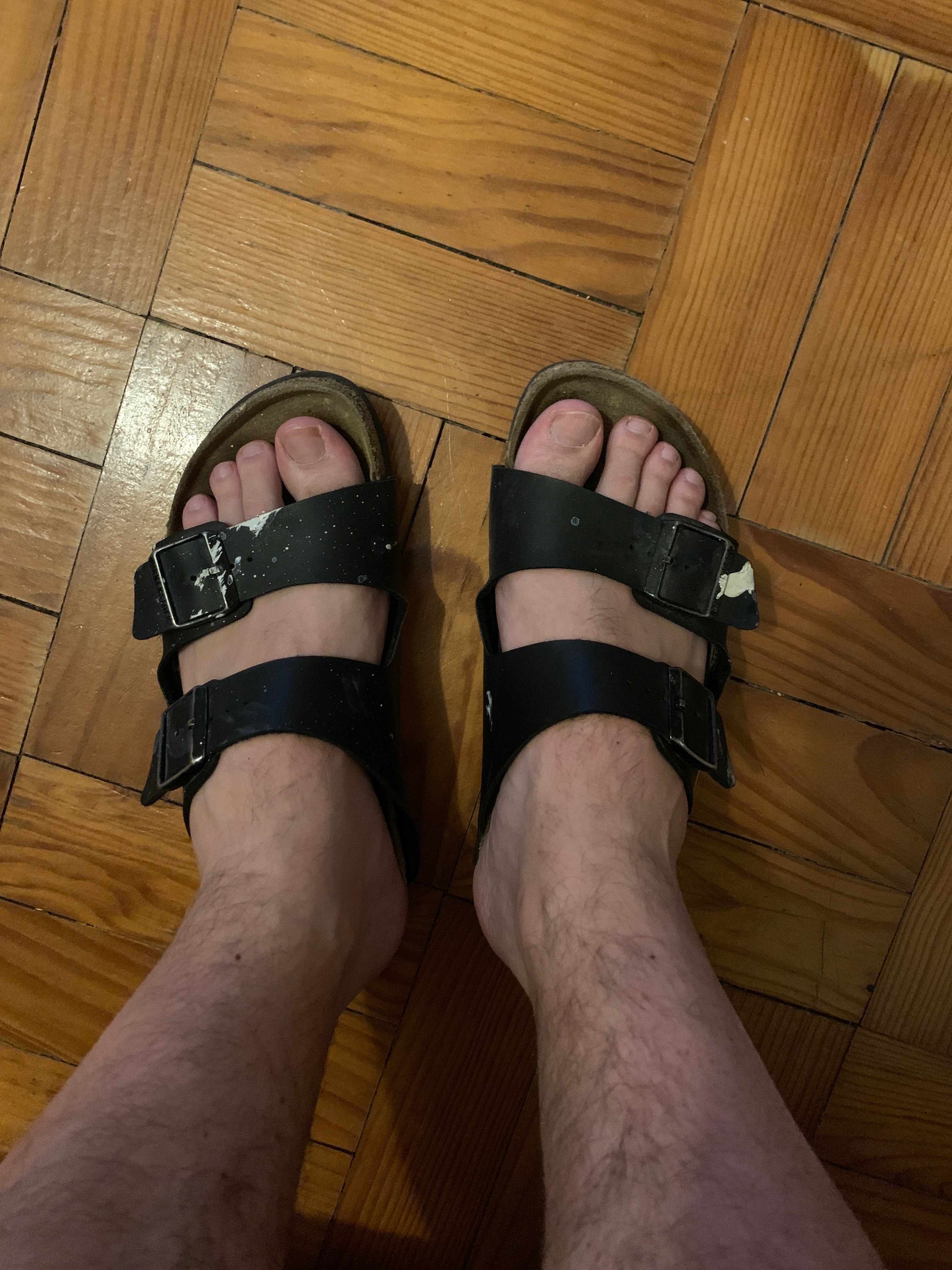 FEETuccini alla bolognese