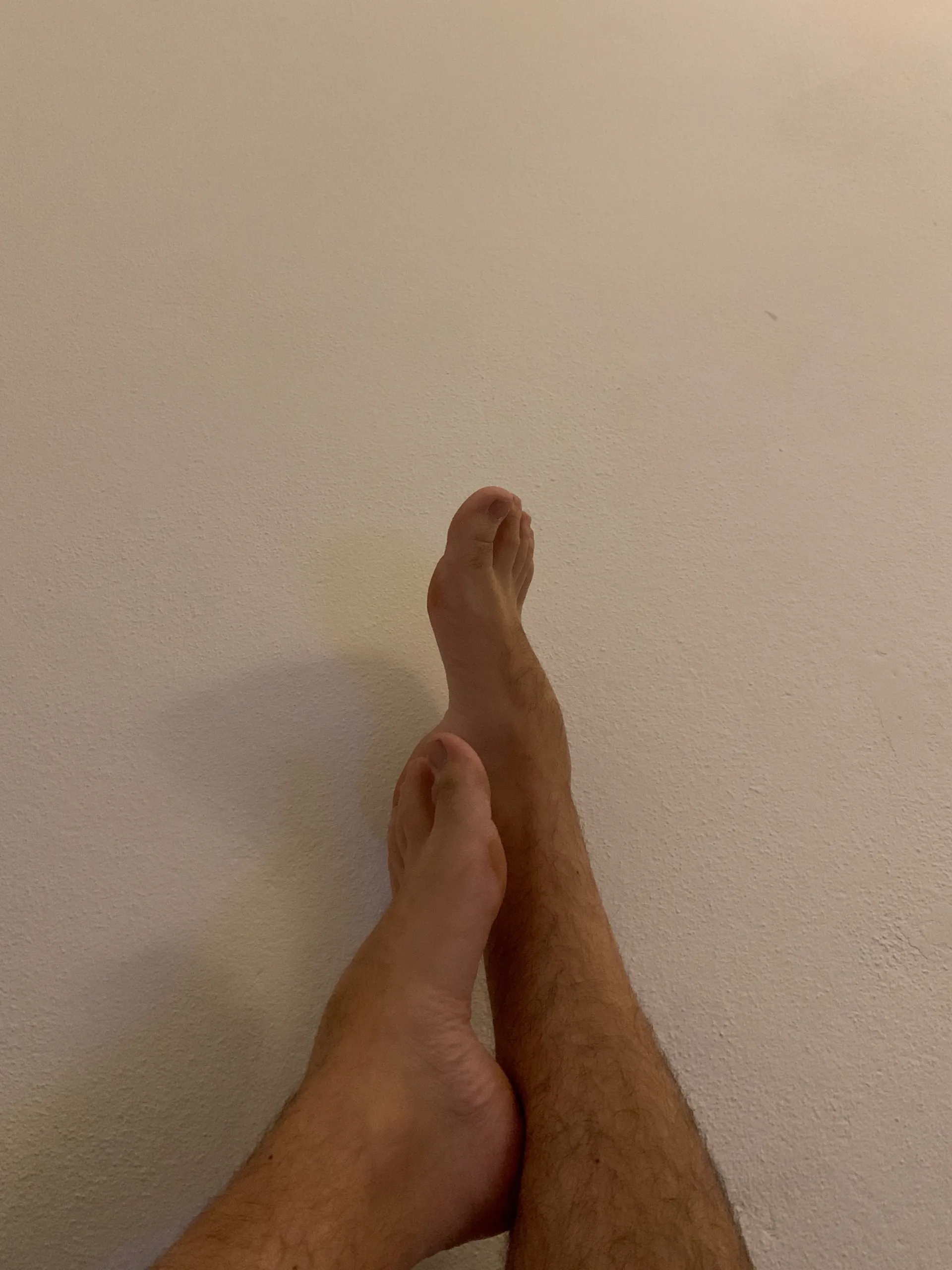 FEETuccini alla bolognese OnlyFans header