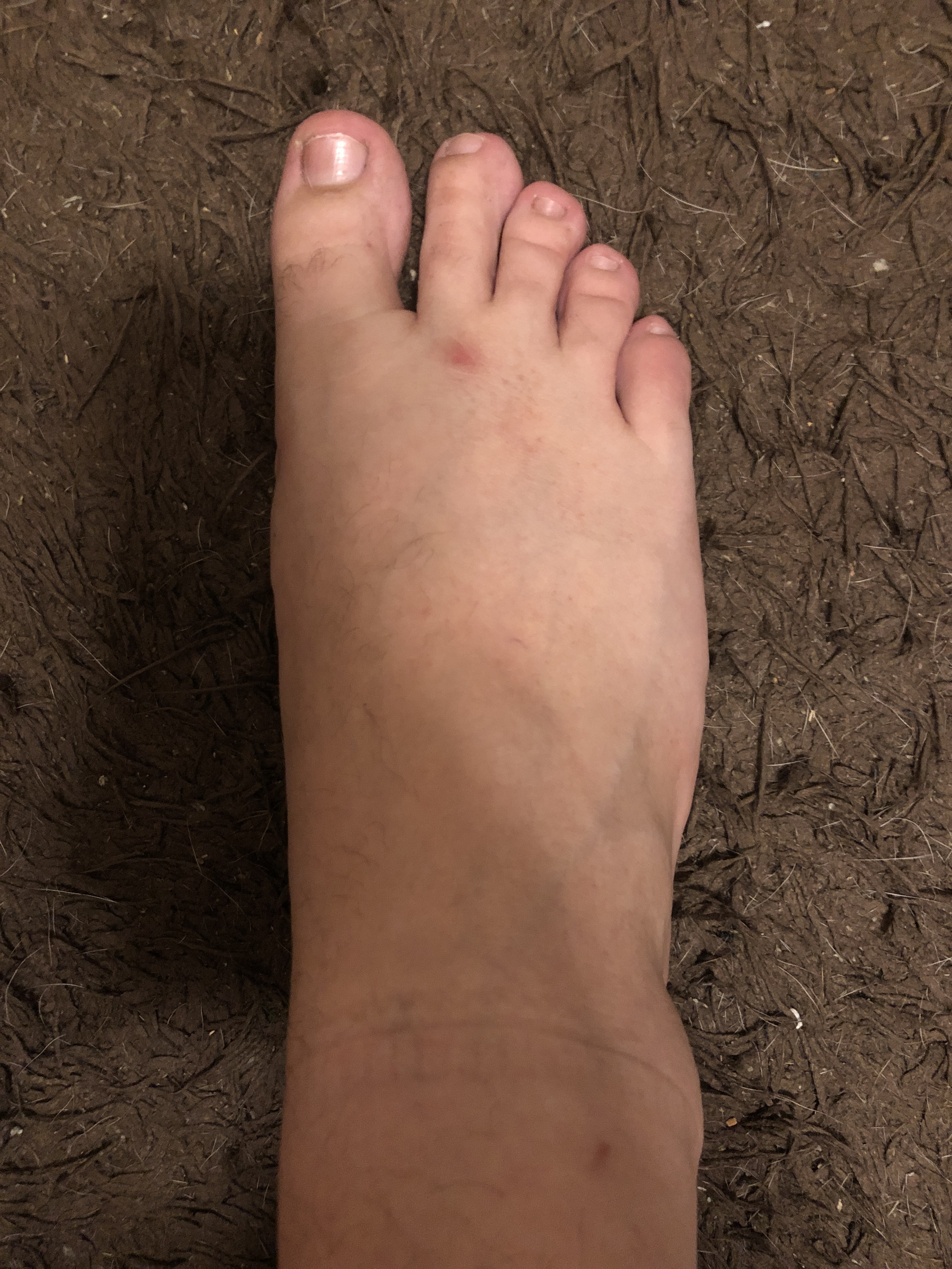 Sneaky Feetsies OnlyFans