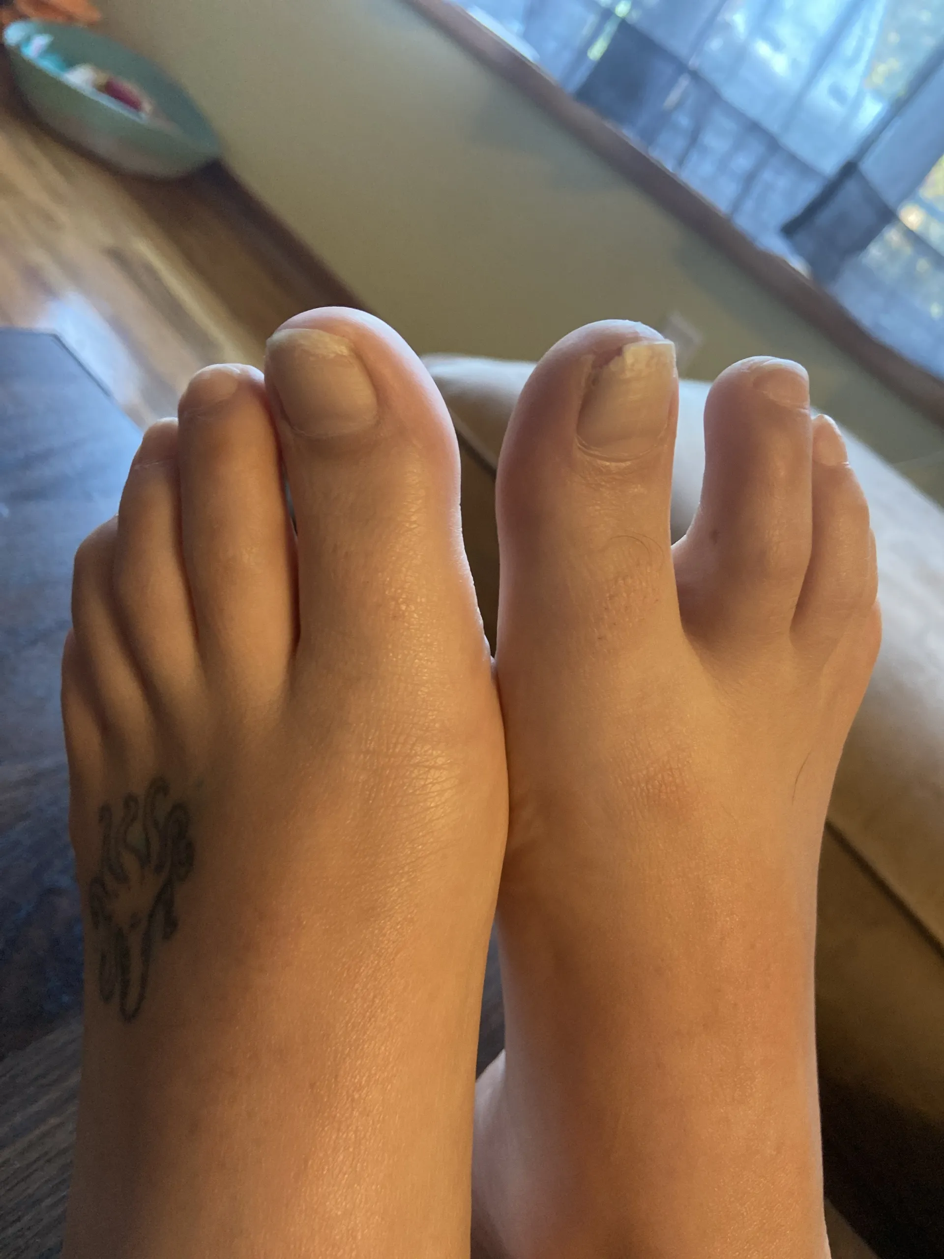 Amber Tootsie OnlyFans header