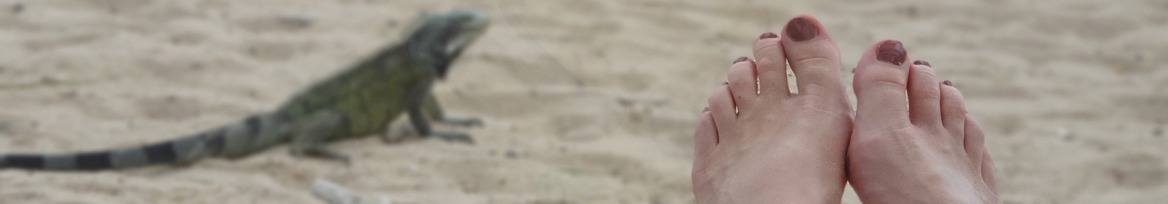 Feet with a Story OnlyFans header