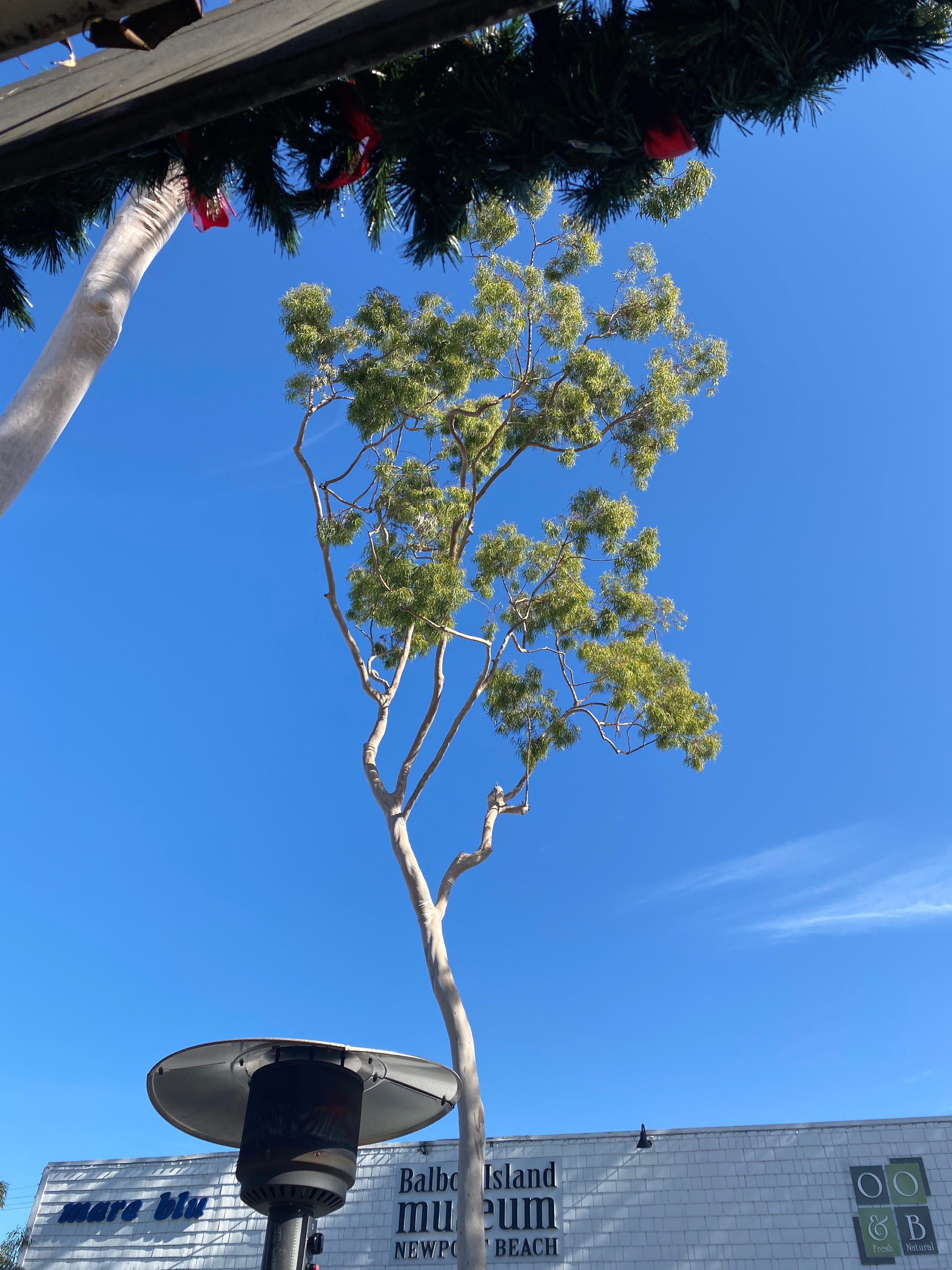 nicky😈 OnlyFans header