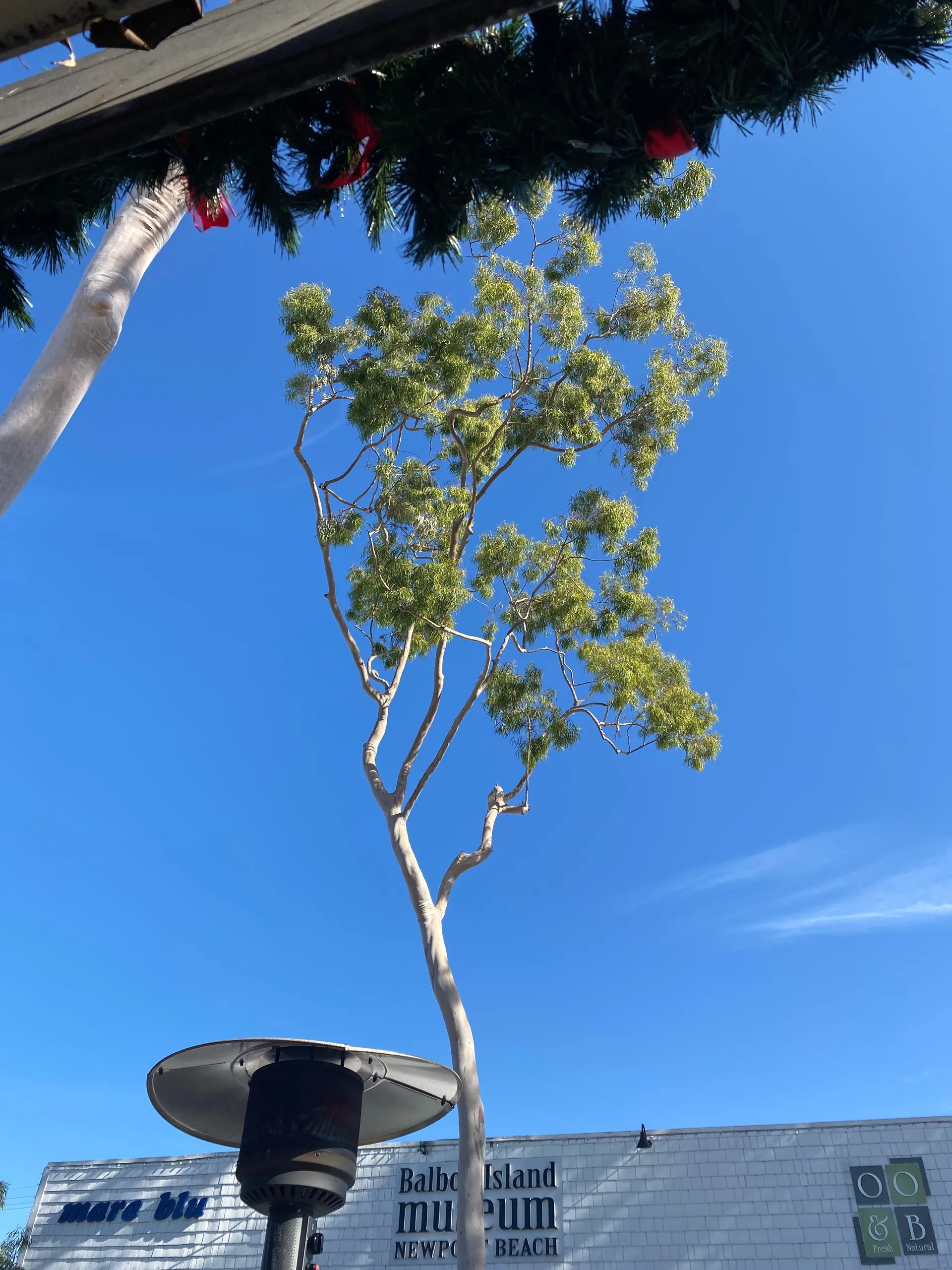 nicky😈 OnlyFans header