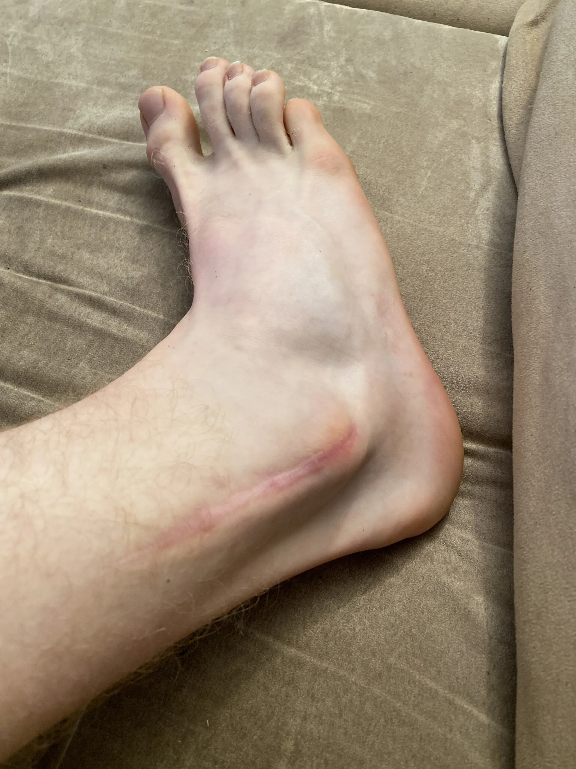 FeetWithScares OnlyFans header