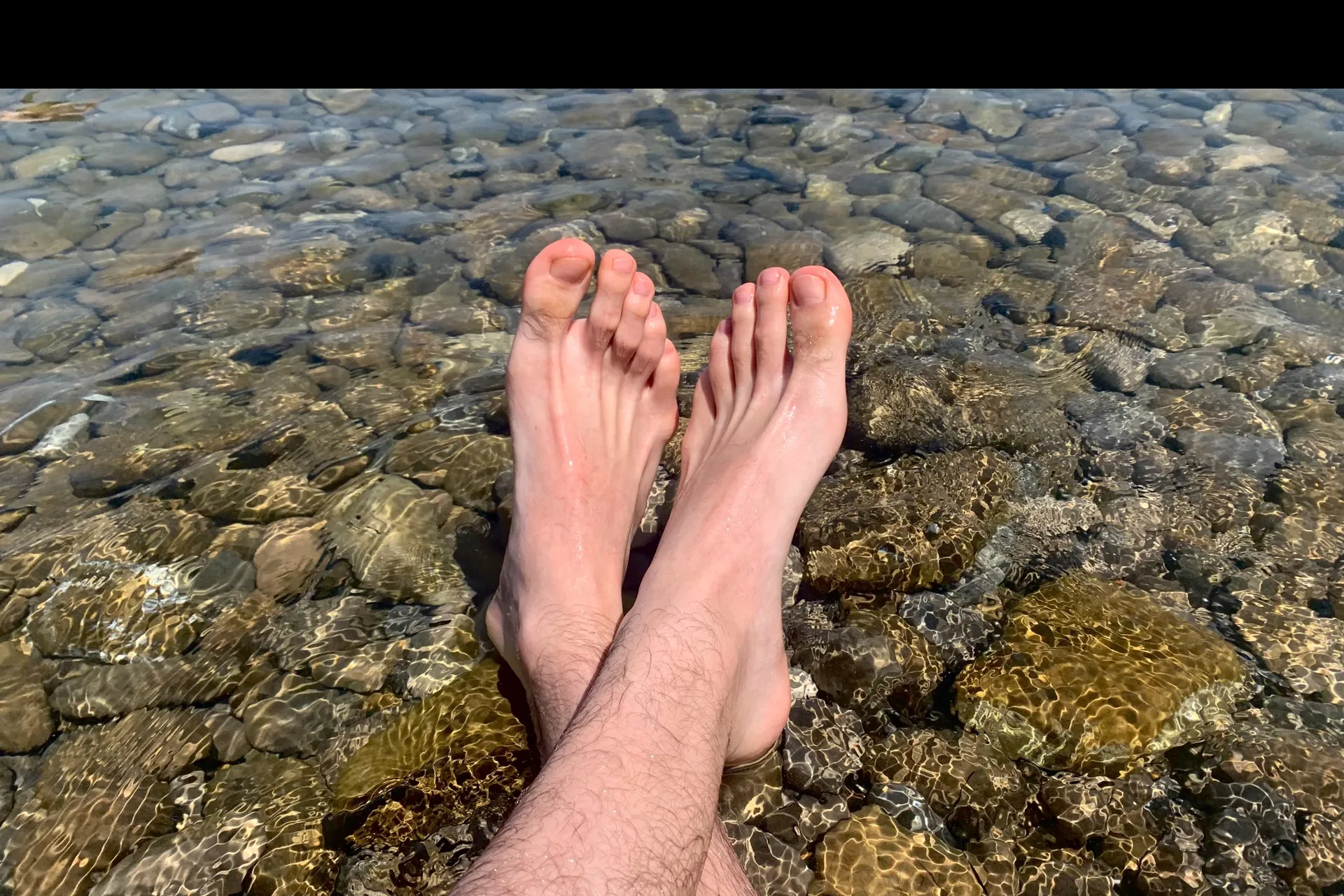 FeeTwunk OnlyFans header