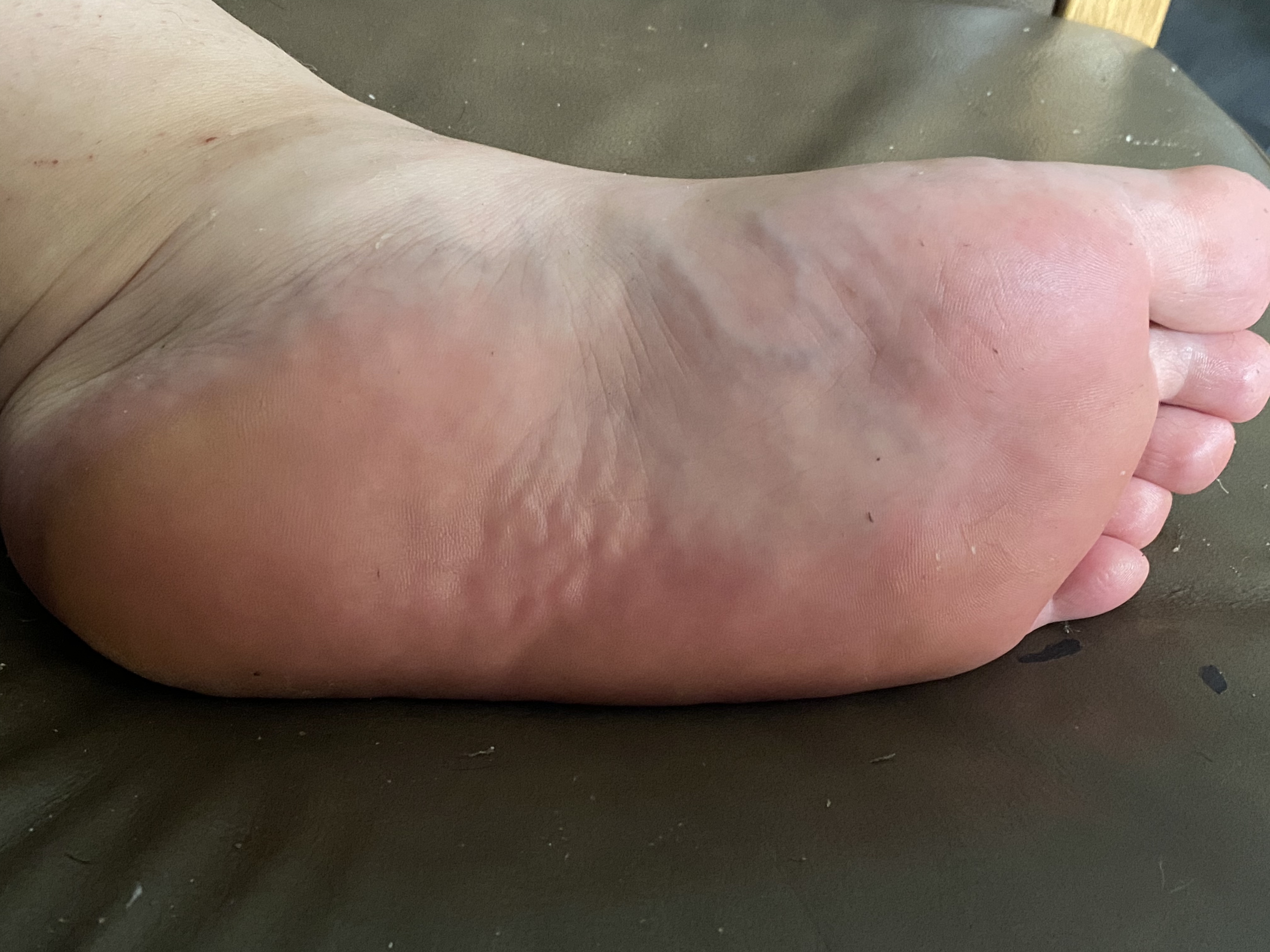 Feet XXX Fest OnlyFans header