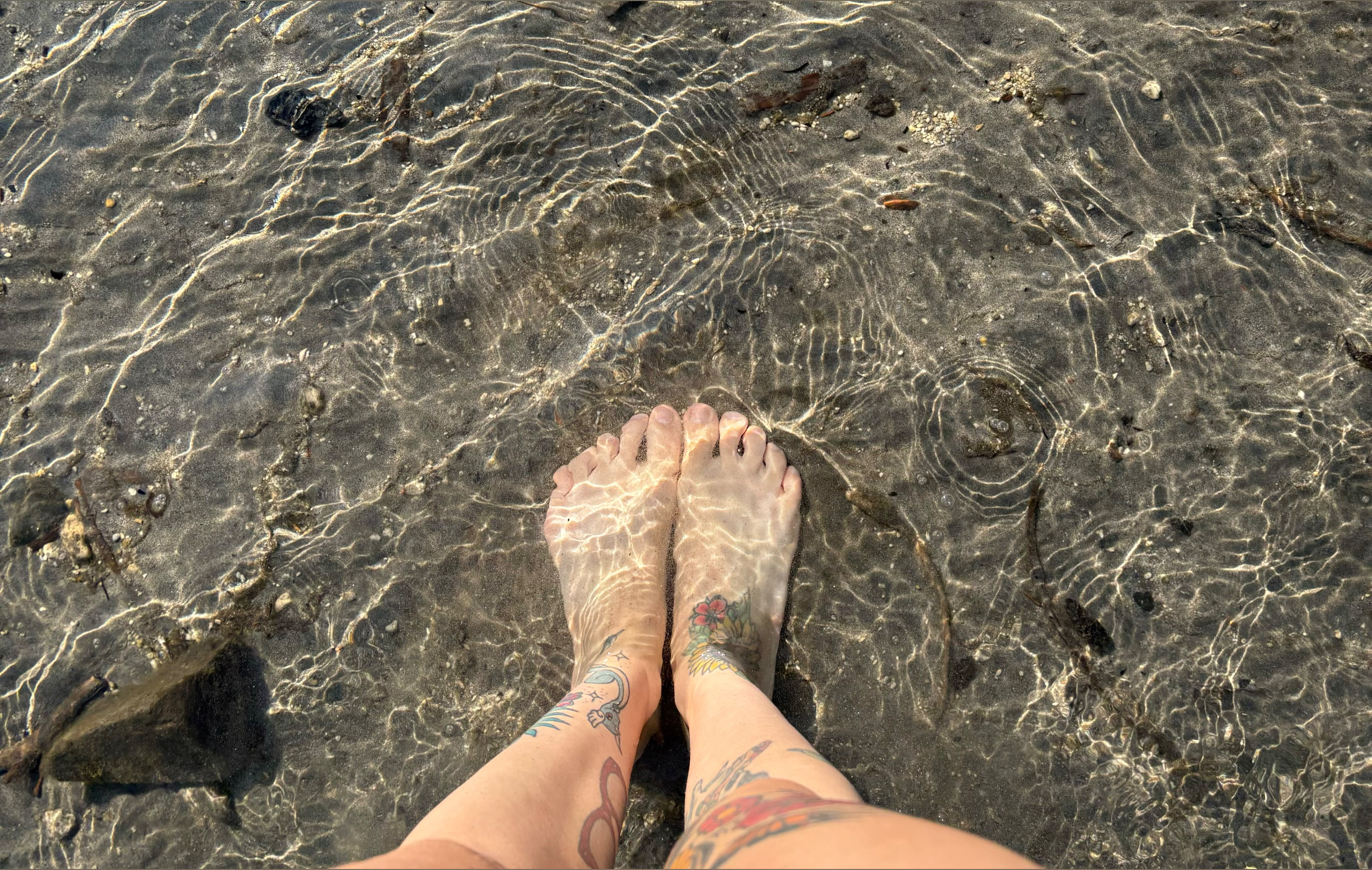 Terra 💎 OnlyFans header