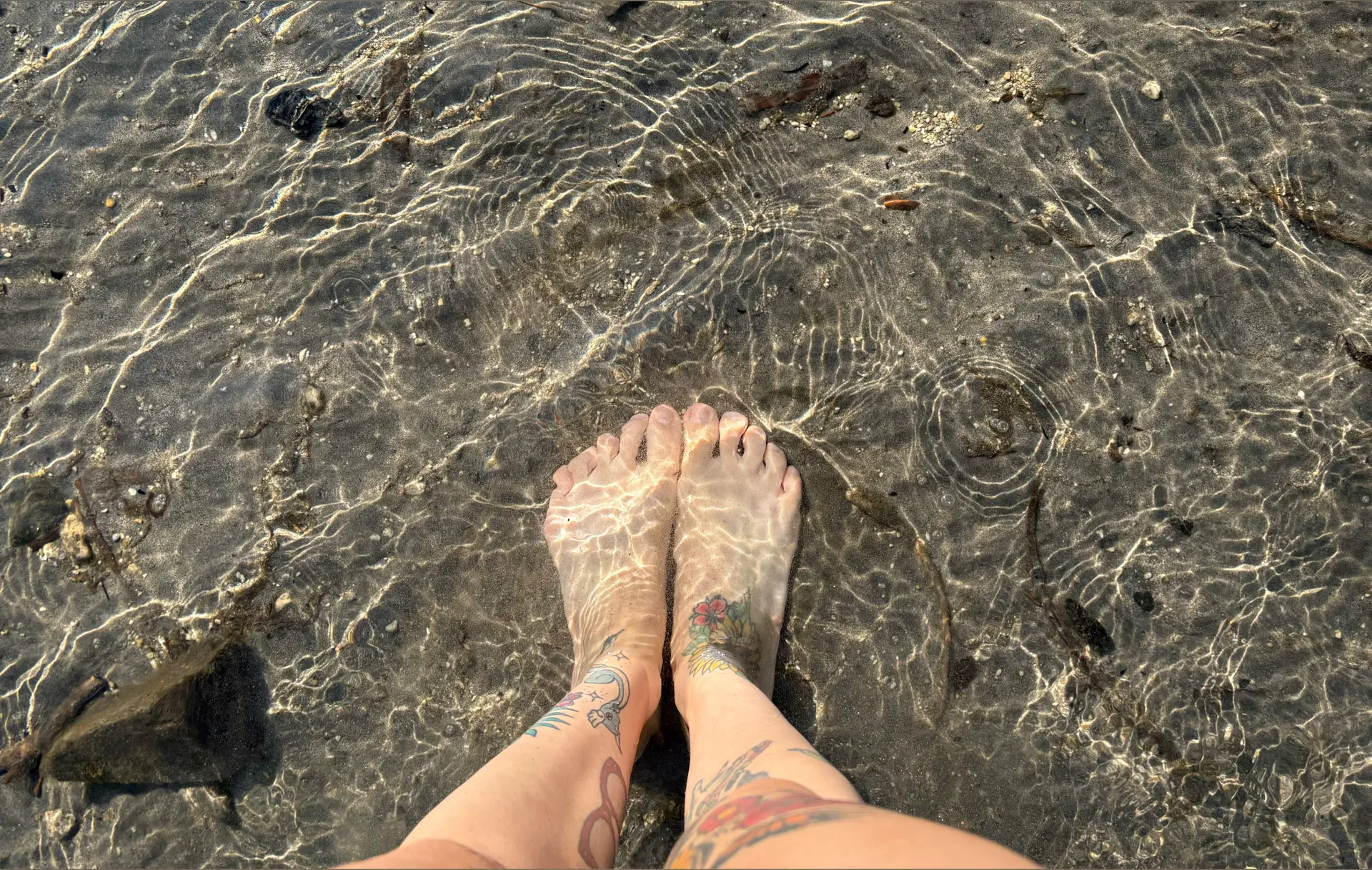 Terra 💎 OnlyFans header