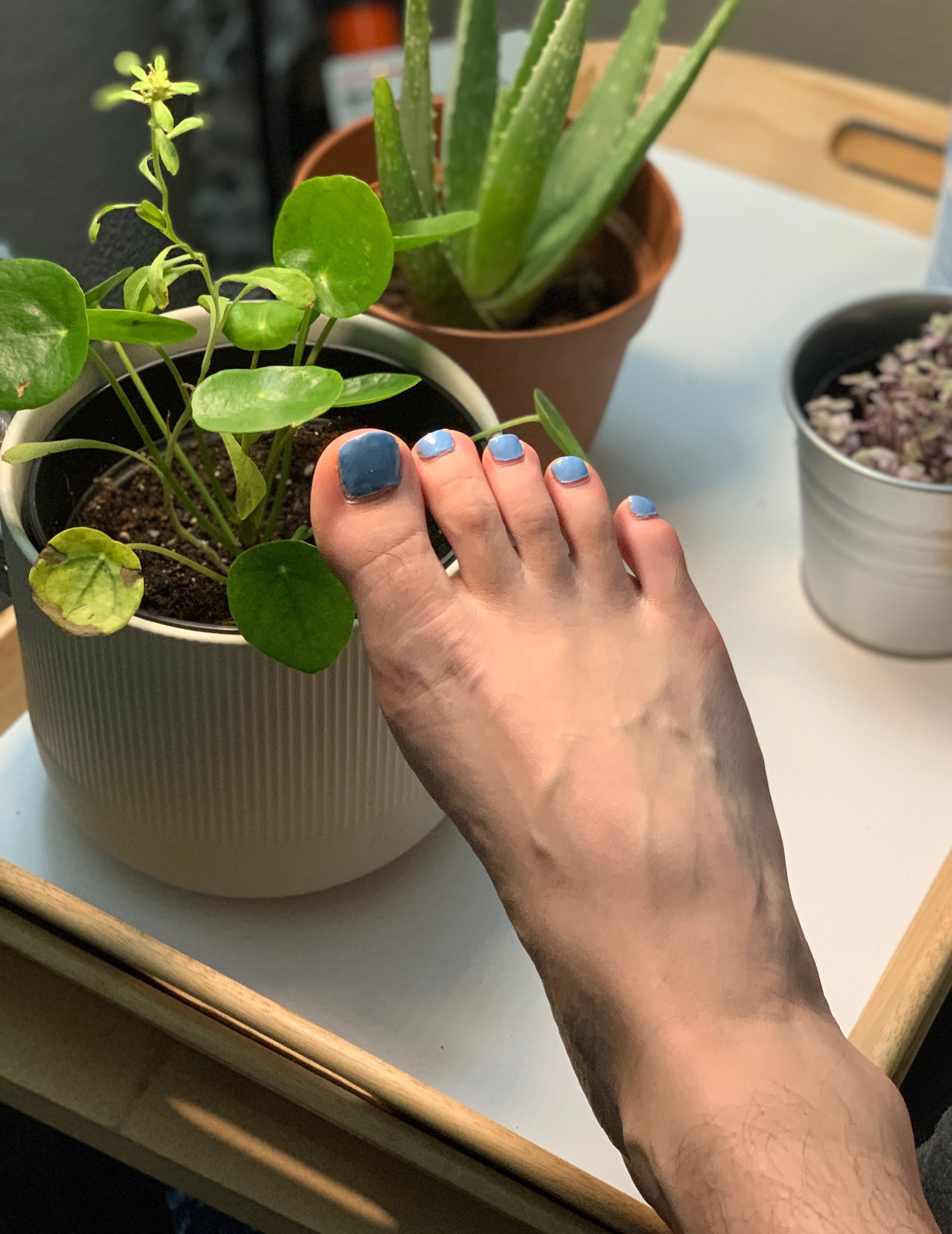 Feet<3 OnlyFans header