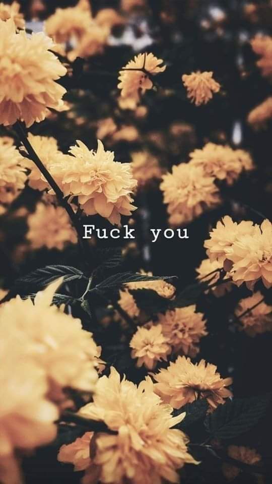 Feezy Fee OnlyFans header