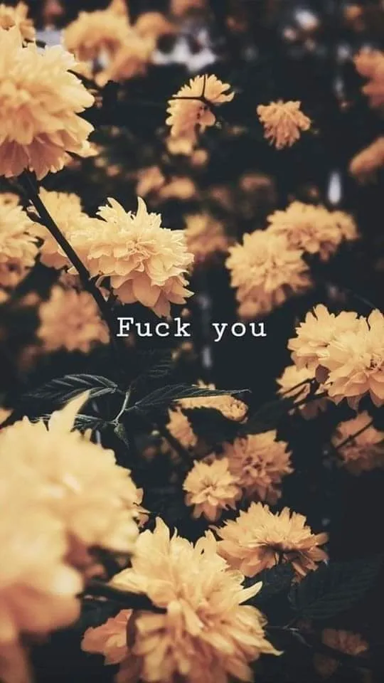 Feezy Fee OnlyFans header