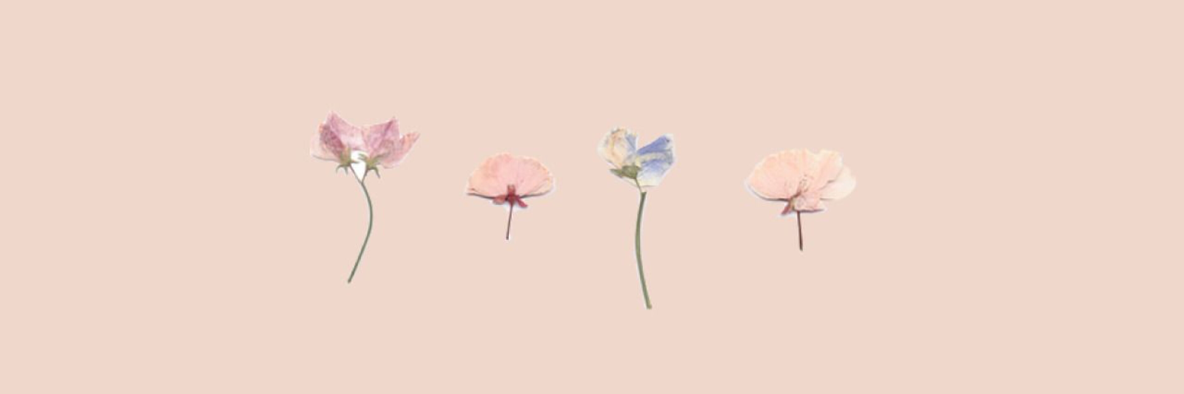 u398095425 OnlyFans header