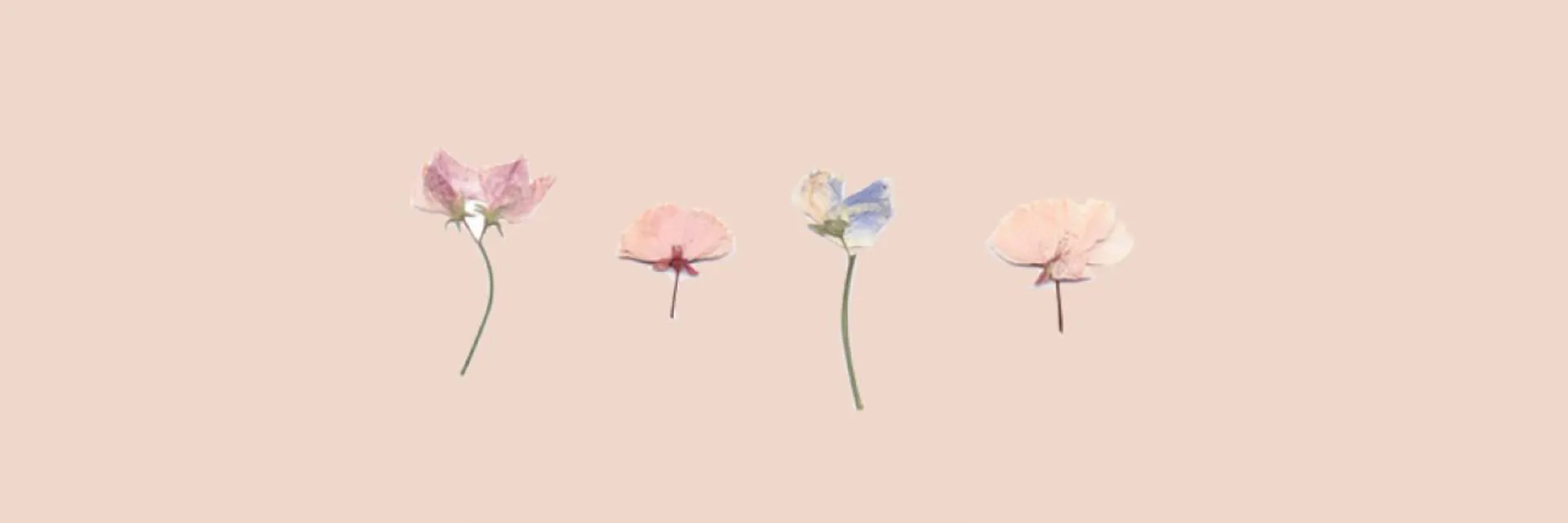 u398095425 OnlyFans header