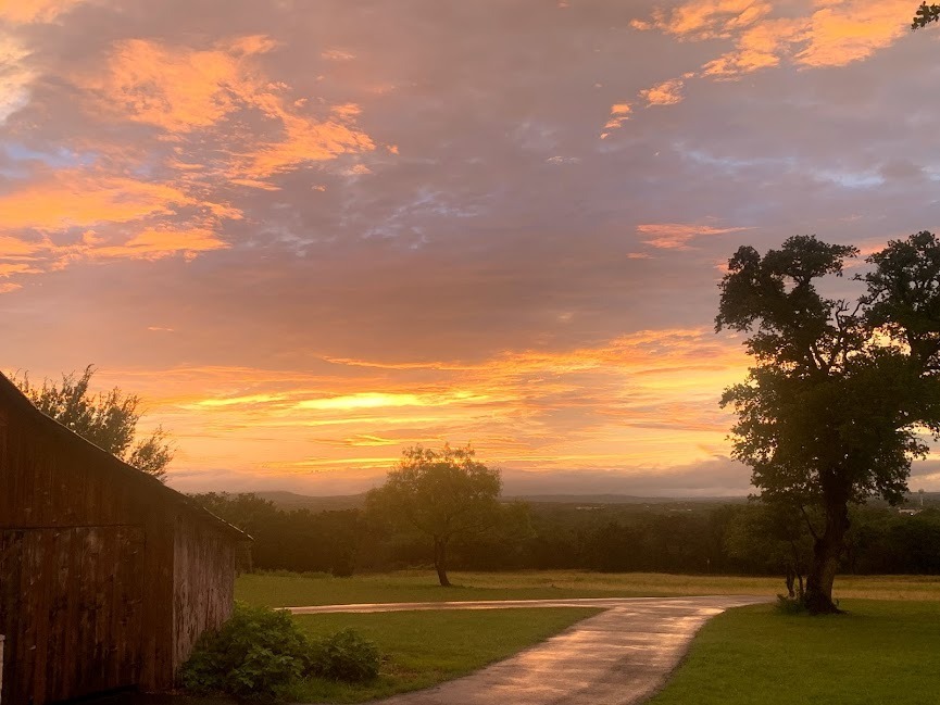 Ivy Mason OnlyFans header