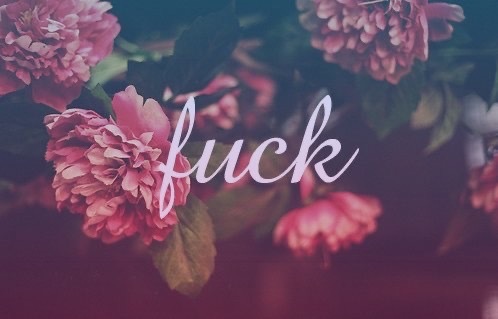 Feistylittlebit OnlyFans header