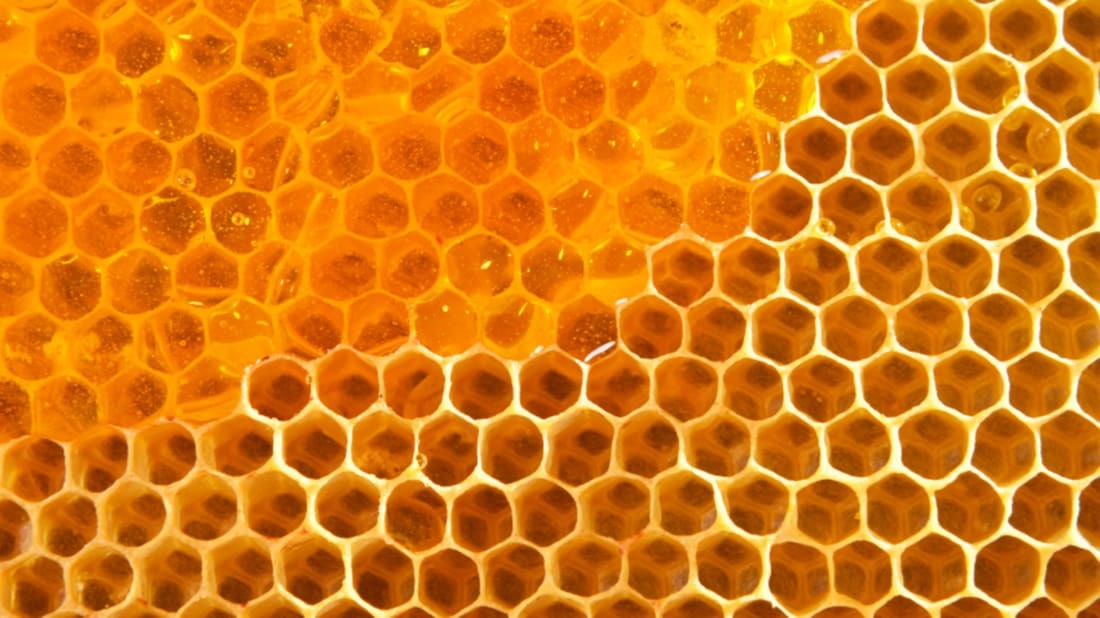 AUSET OnlyFans header