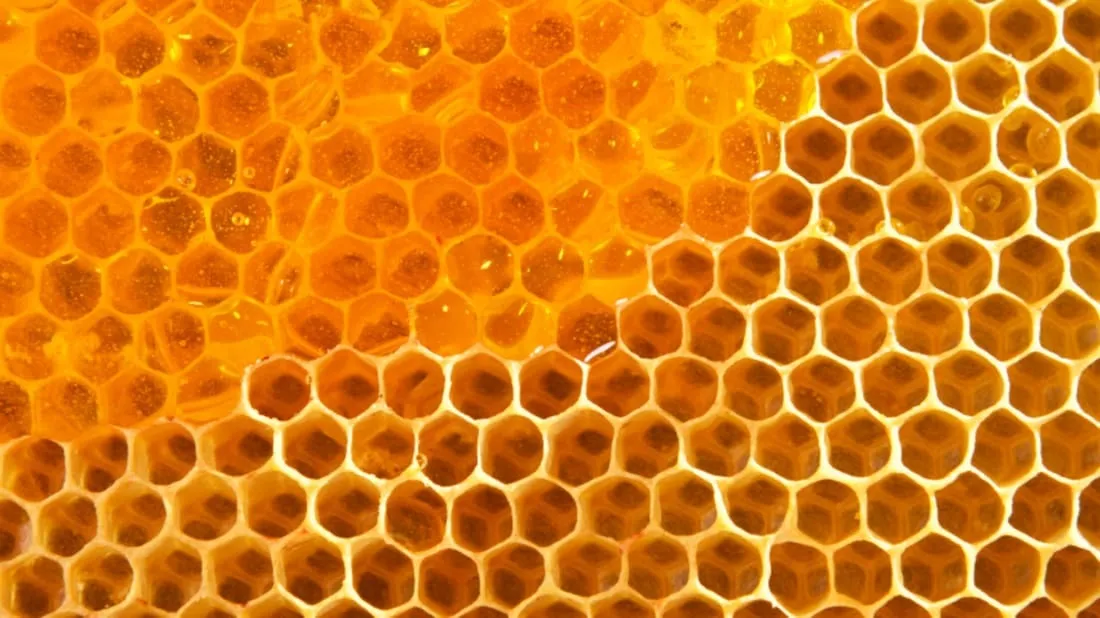 AUSET OnlyFans header