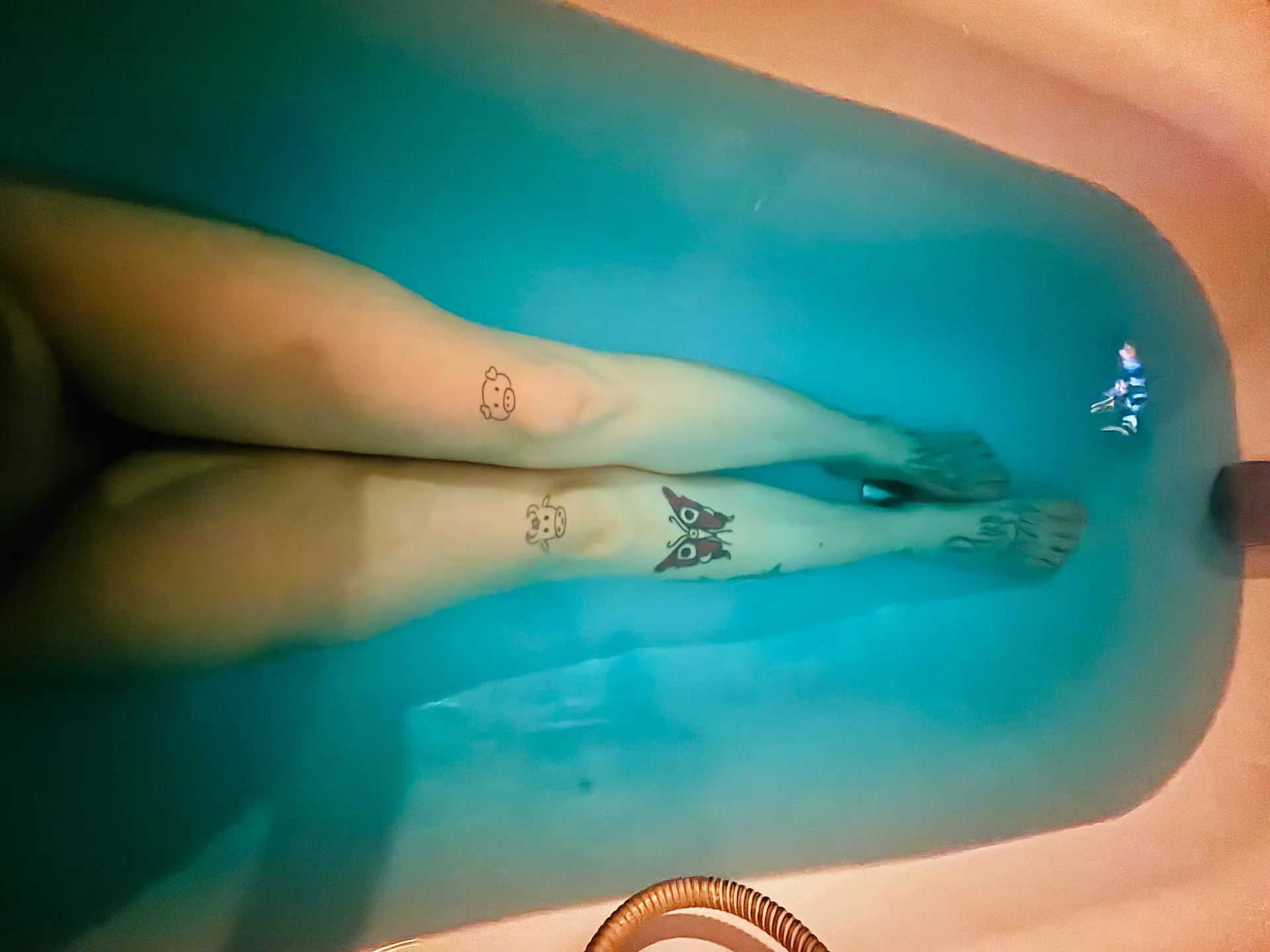 Feli OnlyFans header