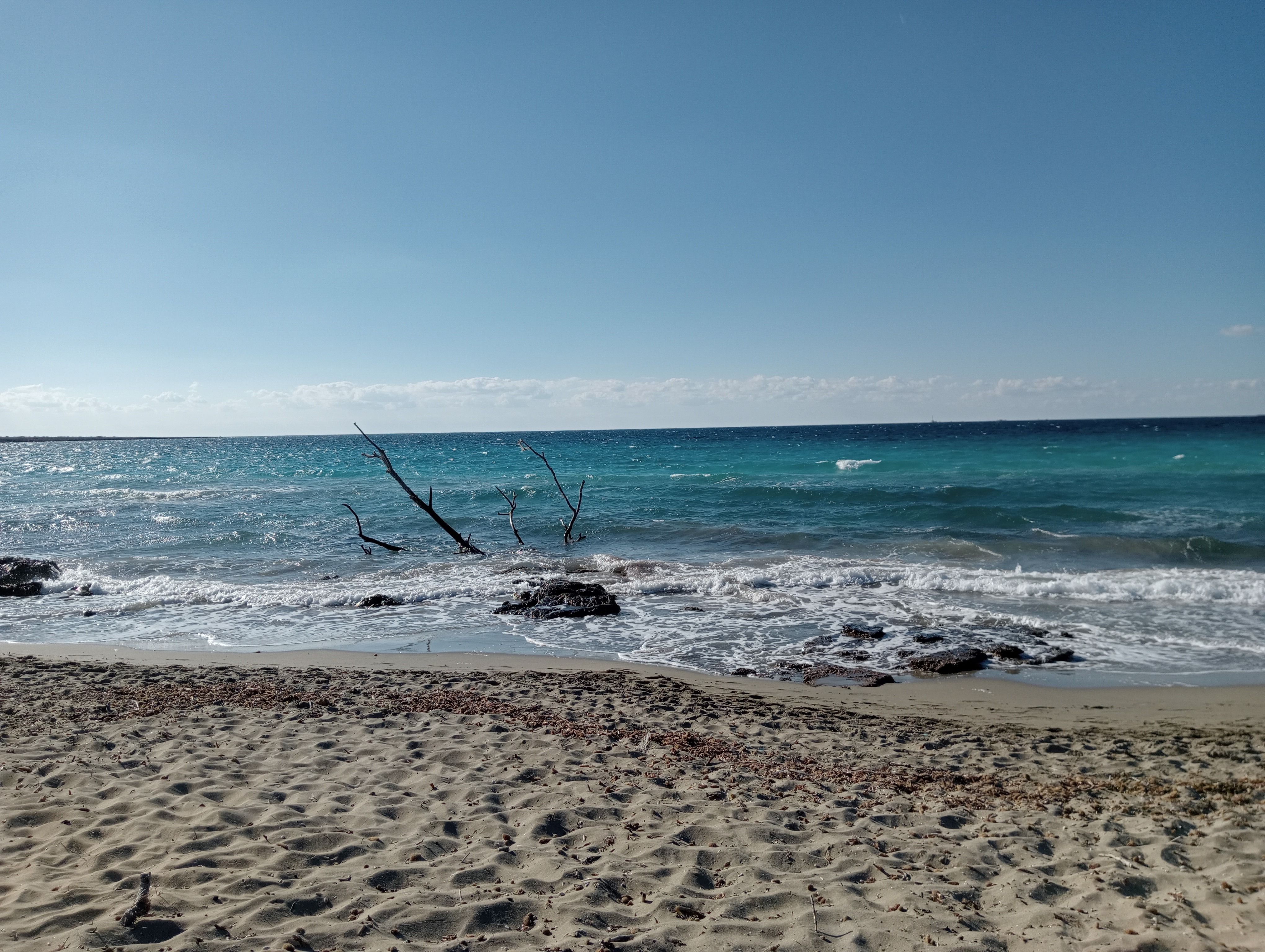 Felice pesce OnlyFans header