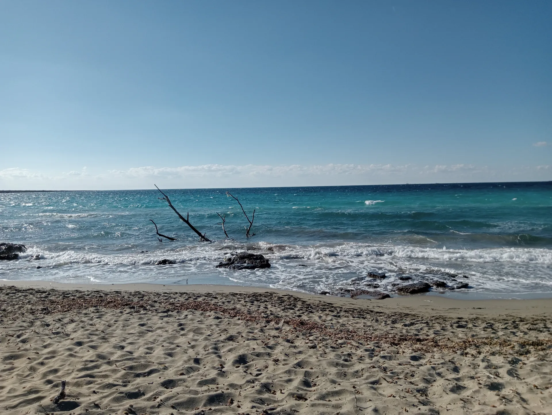 Felice pesce OnlyFans header