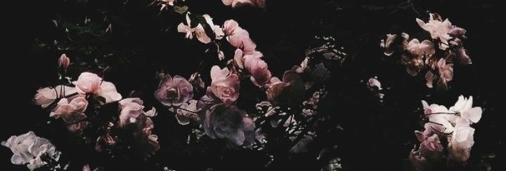 Felicity OnlyFans header